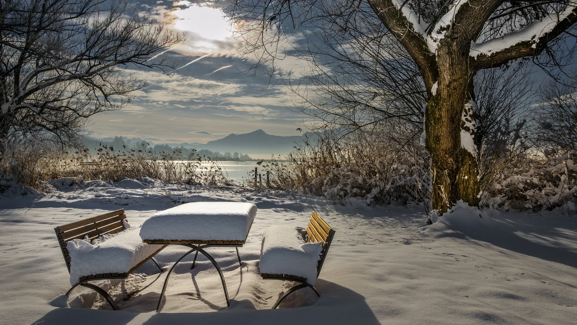 water, tree, covering, bare tree, outdoors, mountain, benches, seat, landscape, bench, no people, winter, branch, snowcovered, cold temperature, frozen, HD Wallpaper