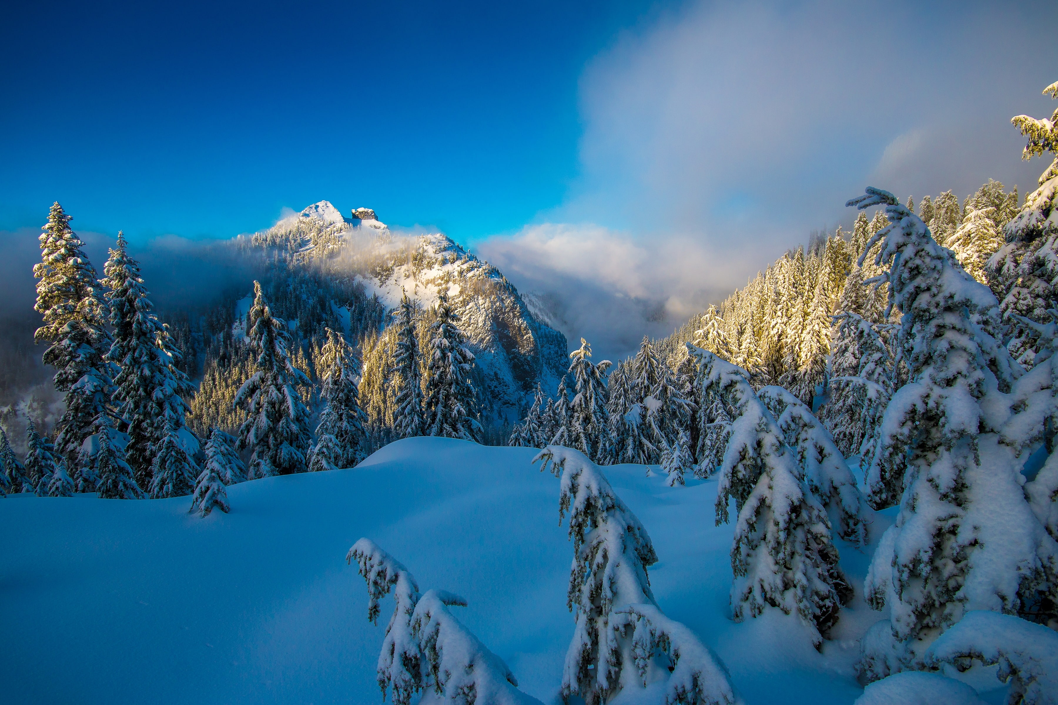 Frosted trees, Winter, North Shore Mountains, 4K, 2K, Sunny day, HD Wallpaper