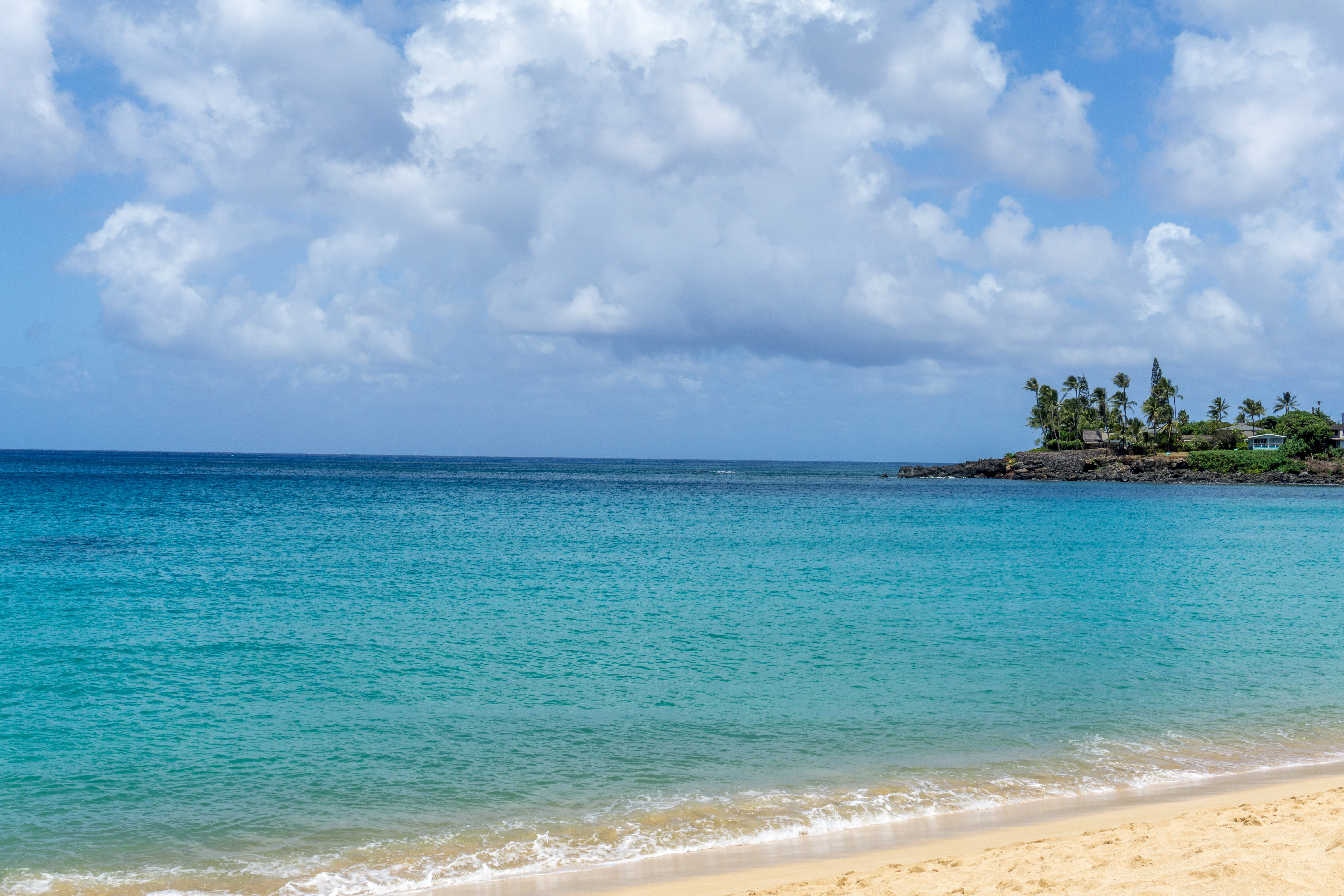 architecture, hawaii, waimea bay beach, ocean, waimea, blue, beach, palm trees, built structure, horizon, land, nature, tranquil scene, 5K, north shore, HD Wallpaper