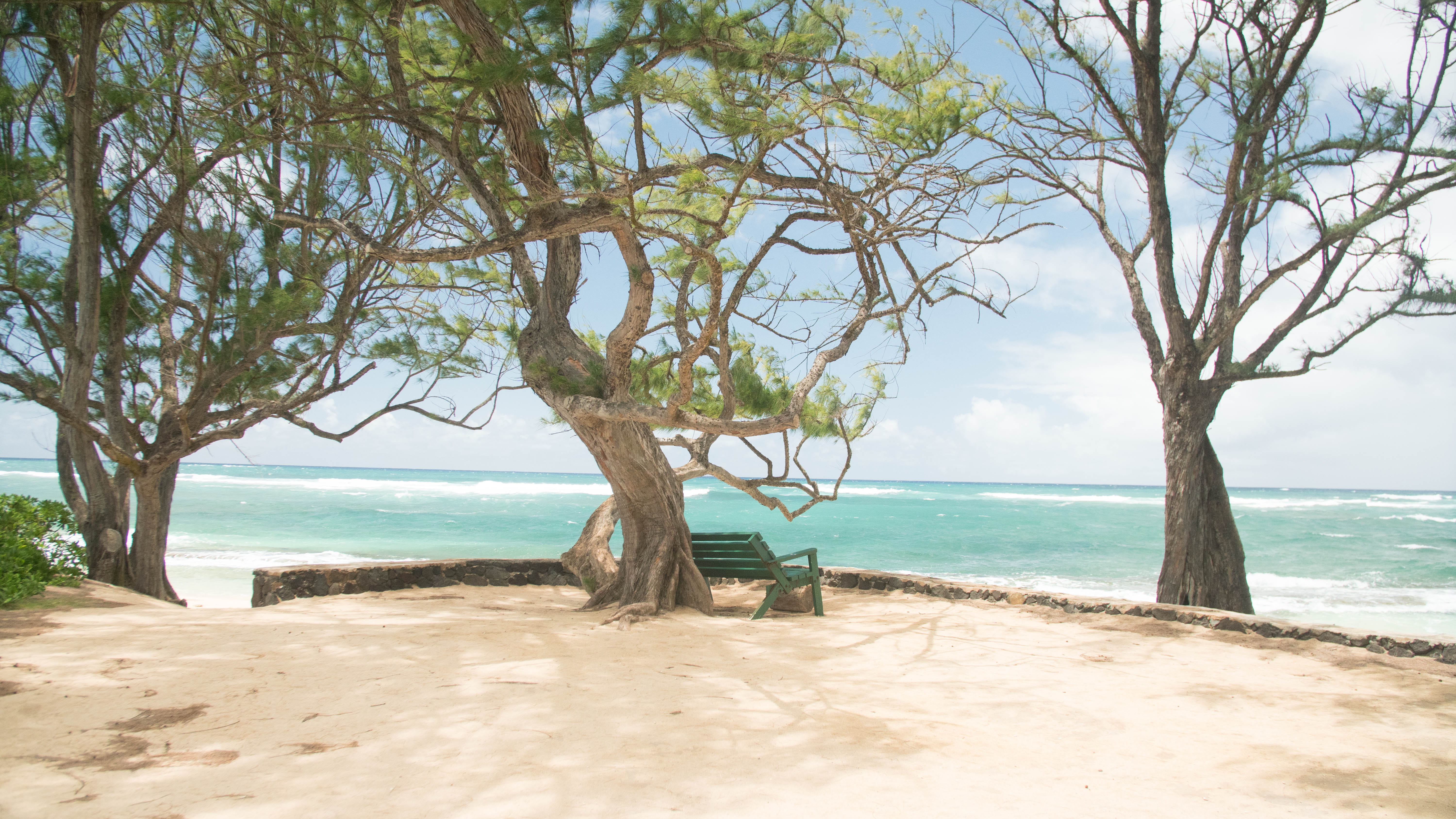 day, tranquility, oahu, north shore, outdoors, camp mokuleia, united states, scenics - nature, no people, ocean, trunk, nature, tranquil scene, tree trunk, HD Wallpaper