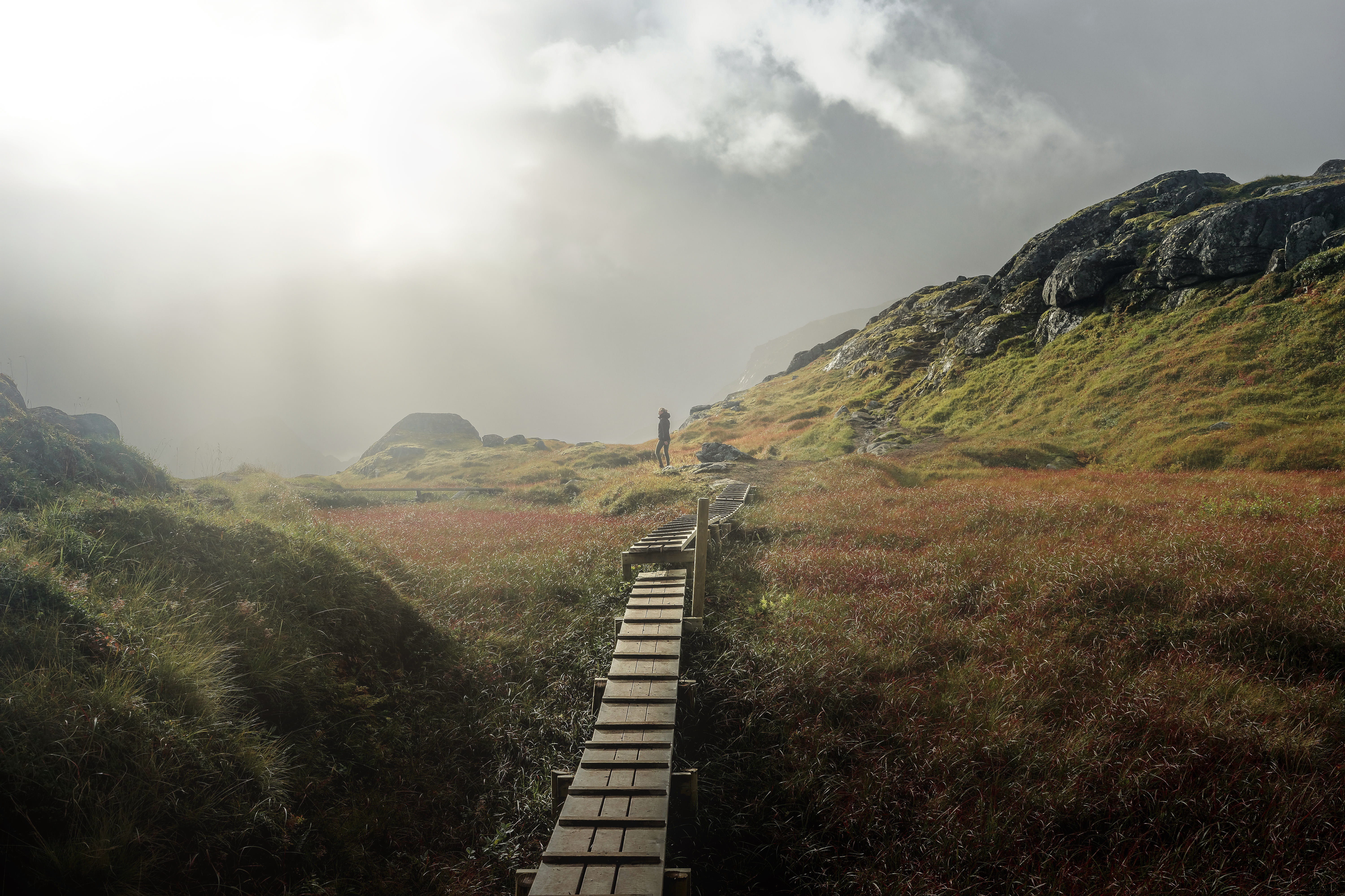 norway, plant, lofoten, sunlight, scenery, sunset, the way forward, tranquility, rope bridge, cloud - sky, mountain, sun, beauty in nature, environment, HD Wallpaper