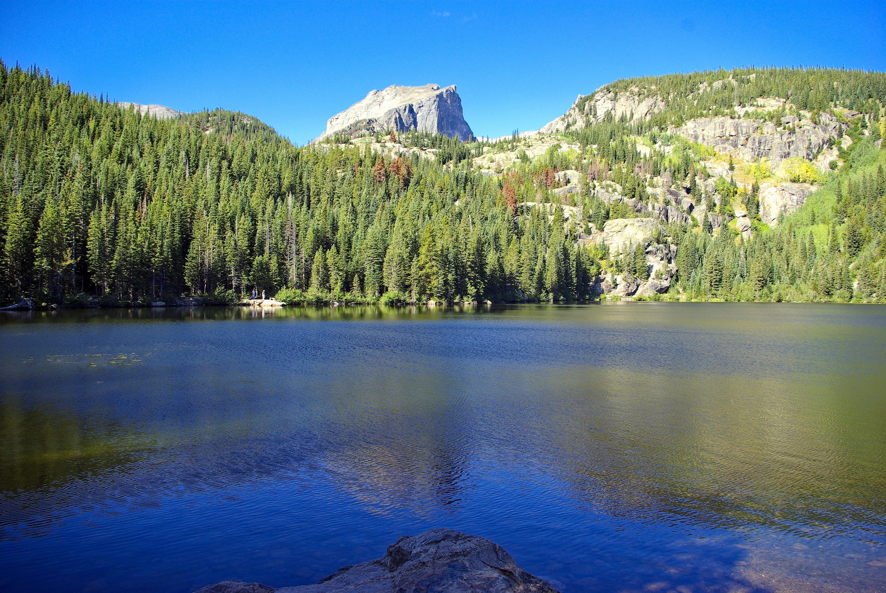panorama, outdoors, lake, national, bear lake scene, waters, beauty in nature, mountain, non-urban scene, land, growth, colorado, reflection, outdoor, no people, HD Wallpaper