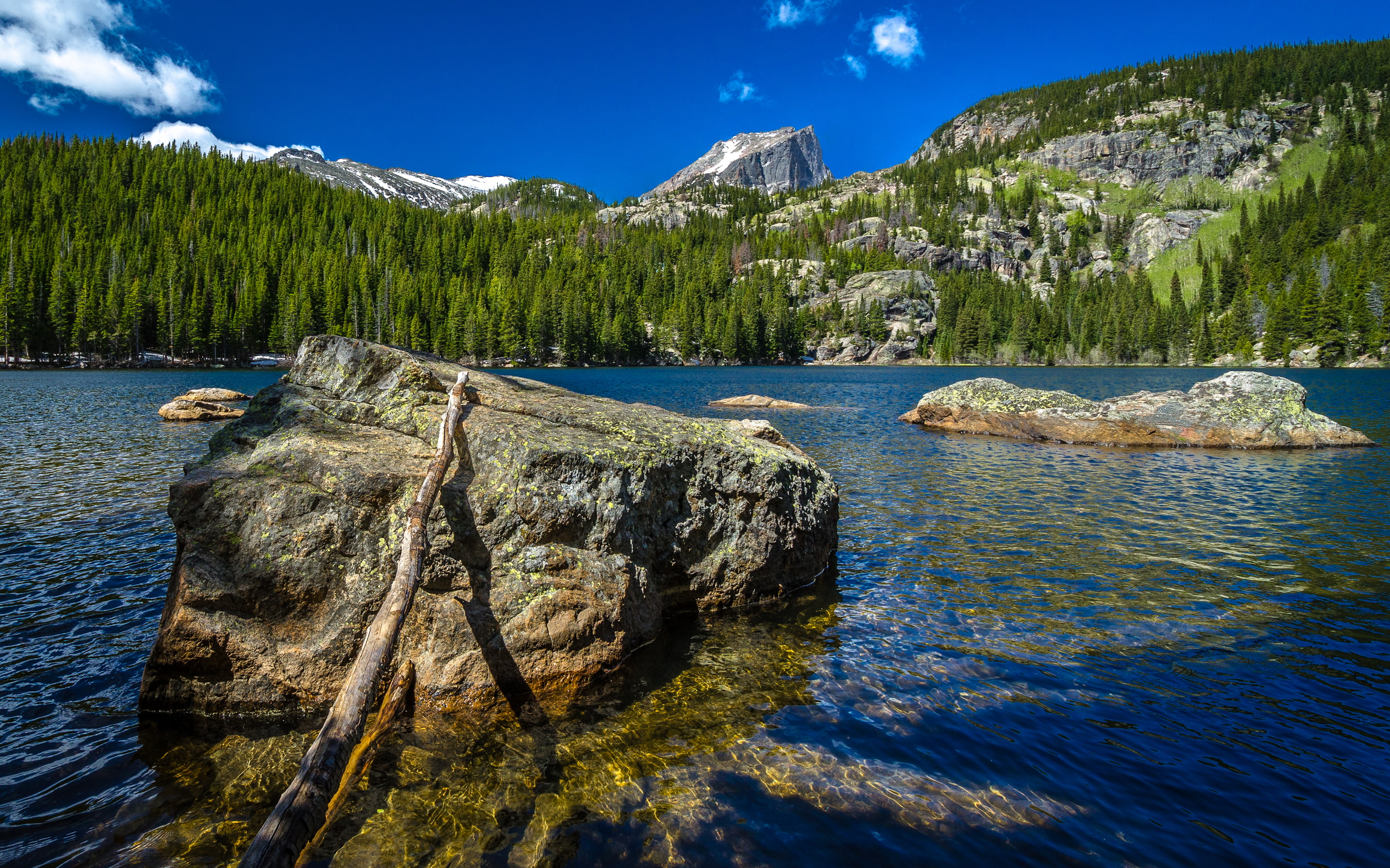 plant, photography, landscape, rock, lakes, 2K, outdoors, nikond7000, blues, green, mountains, bear, nikon, day, lake, non-urban scene, tree, beauty in nature, HD Wallpaper