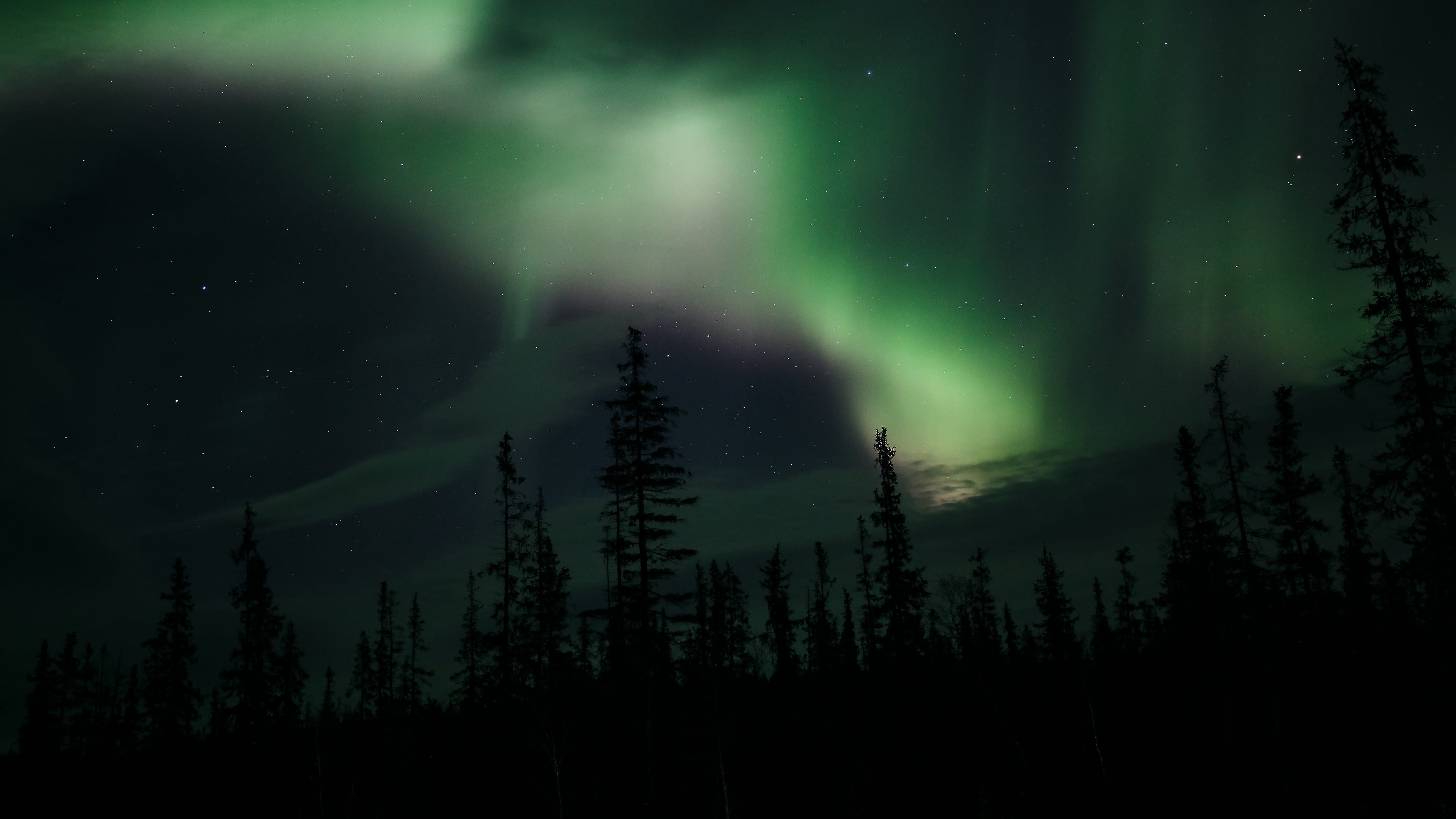 land, non-urban scene, no people, astronomy, green color, pine tree, tranquility, space, nature, power in nature, beauty in nature, night, coniferous tree, HD Wallpaper