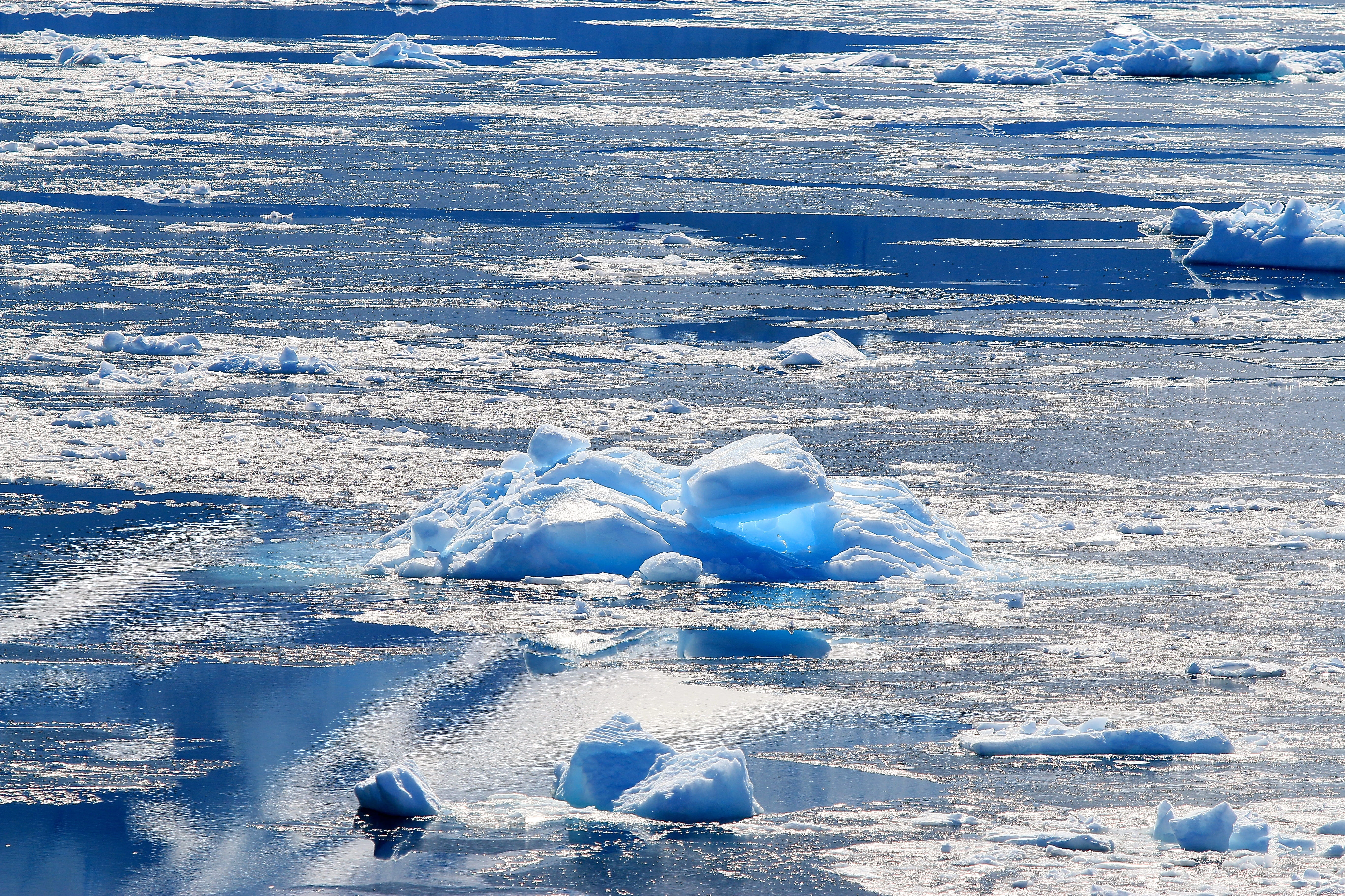 ice floes, frozen, ice, floating on water, tranquility, beauty in nature, waters, scenics - nature, water, cold temperature, iceberg, melting, day, blue, HD Wallpaper