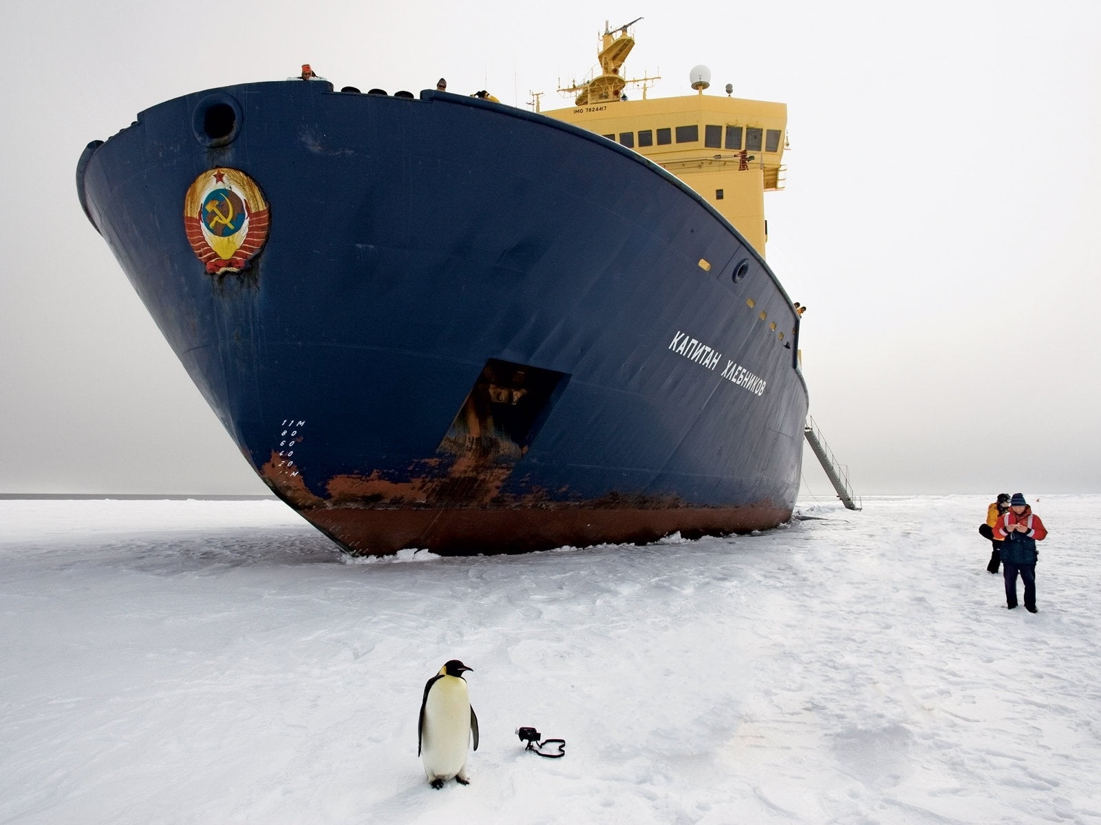cold temperature, winter, business, icebreaker, nature, transportation, blue, outdoors, container ship, shipping, yellow, vertebrate, mode of transportation, HD Wallpaper