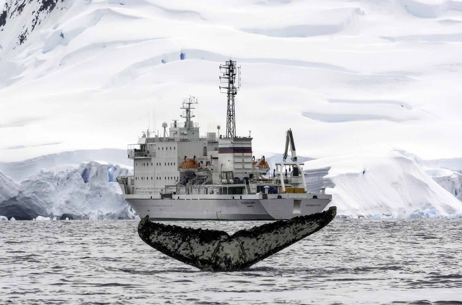 outdoors, whale, transportation, military, navy, sky, Arctic, ship, nature, 1080P, waterfront, sea, water, nautical vessel, day, mountain, scenics - nature, HD Wallpaper
