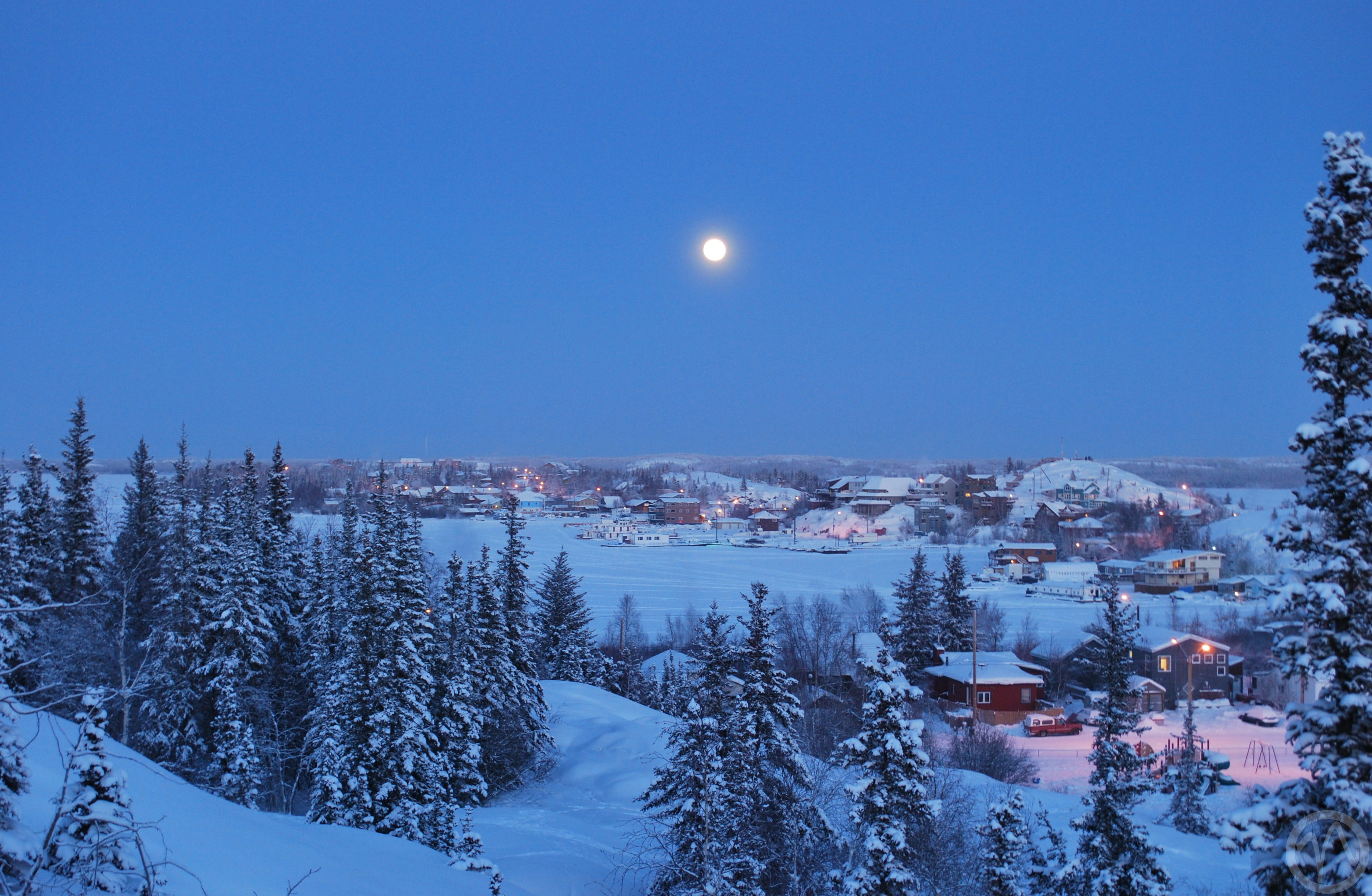territories, no people, cold temperature, beauty in nature, trees, tranquil scene, northwest, blue, scenics - nature, night, 2K, sky, Yellowknife, moon, HD Wallpaper