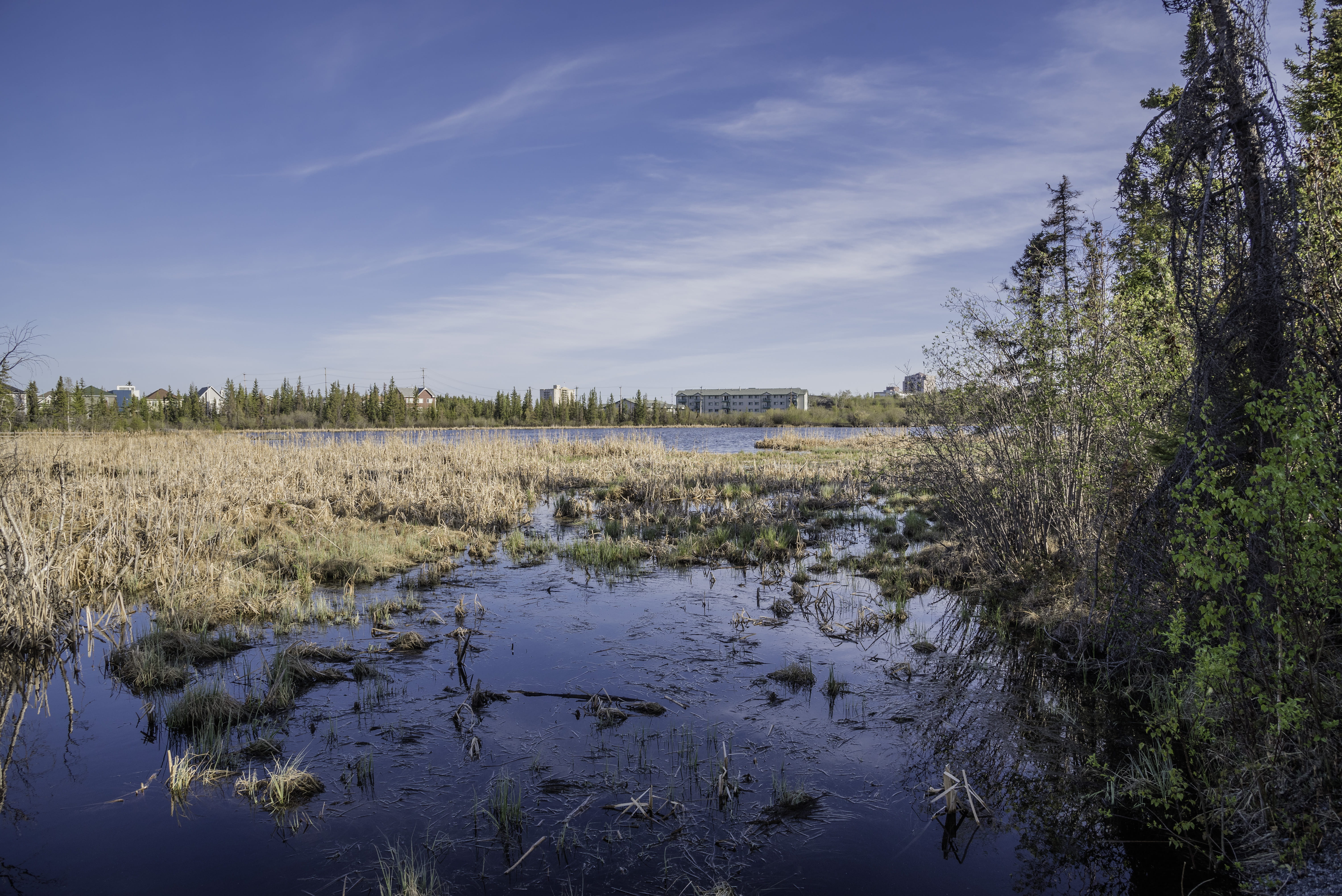 non-urban scene, skies, landscape, tranquil scene, lake, blue, grasses, public domain, cloud - sky, Marshland, reflection, plant, marsh, outdoors, water, HD Wallpaper