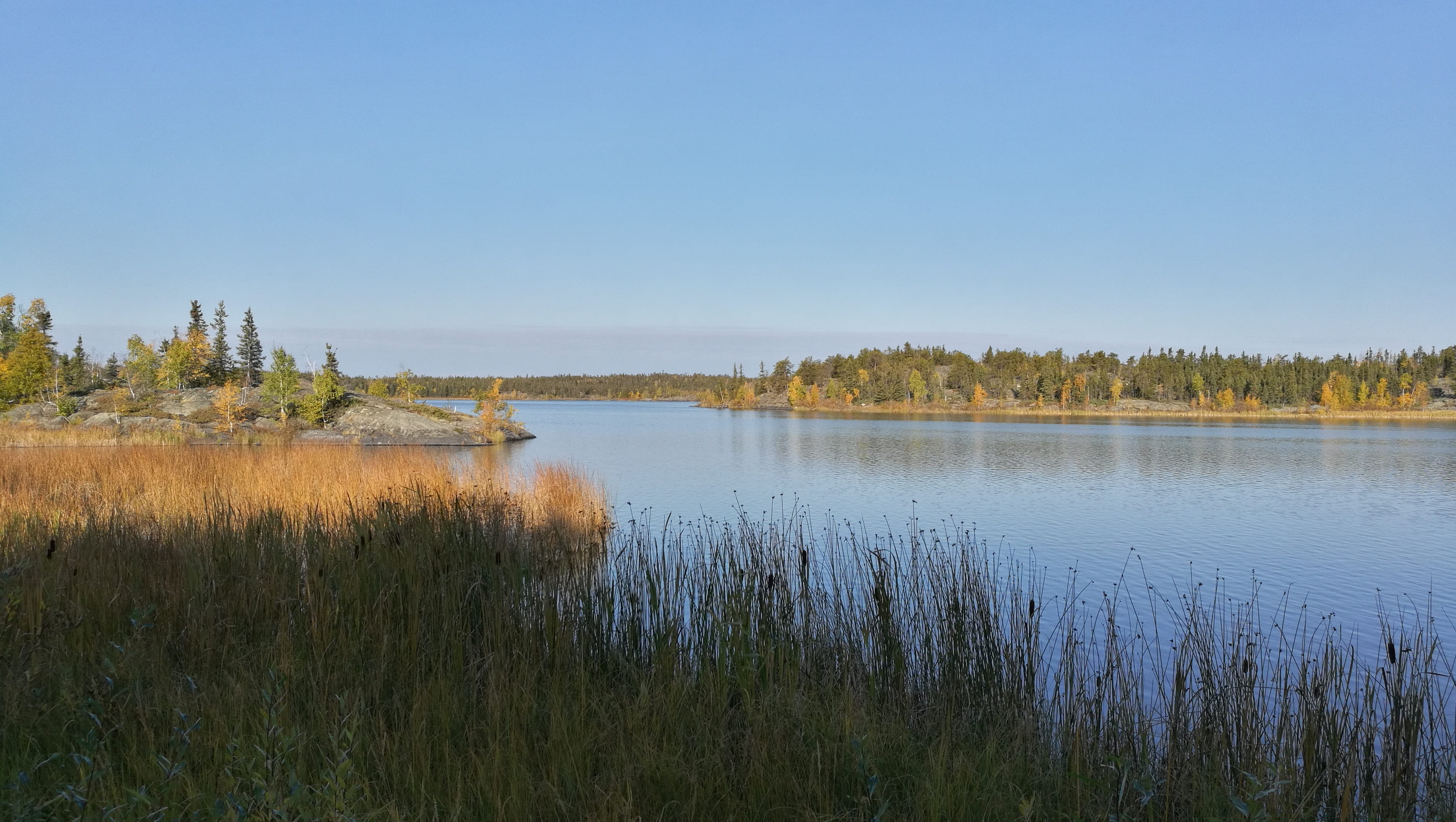 clear sky, day, 4K, tree, scenics - nature, sky, non-urban scene, nature, plant, environment, canada, landscape, no people, yellowknife, lake, outdoors, HD Wallpaper