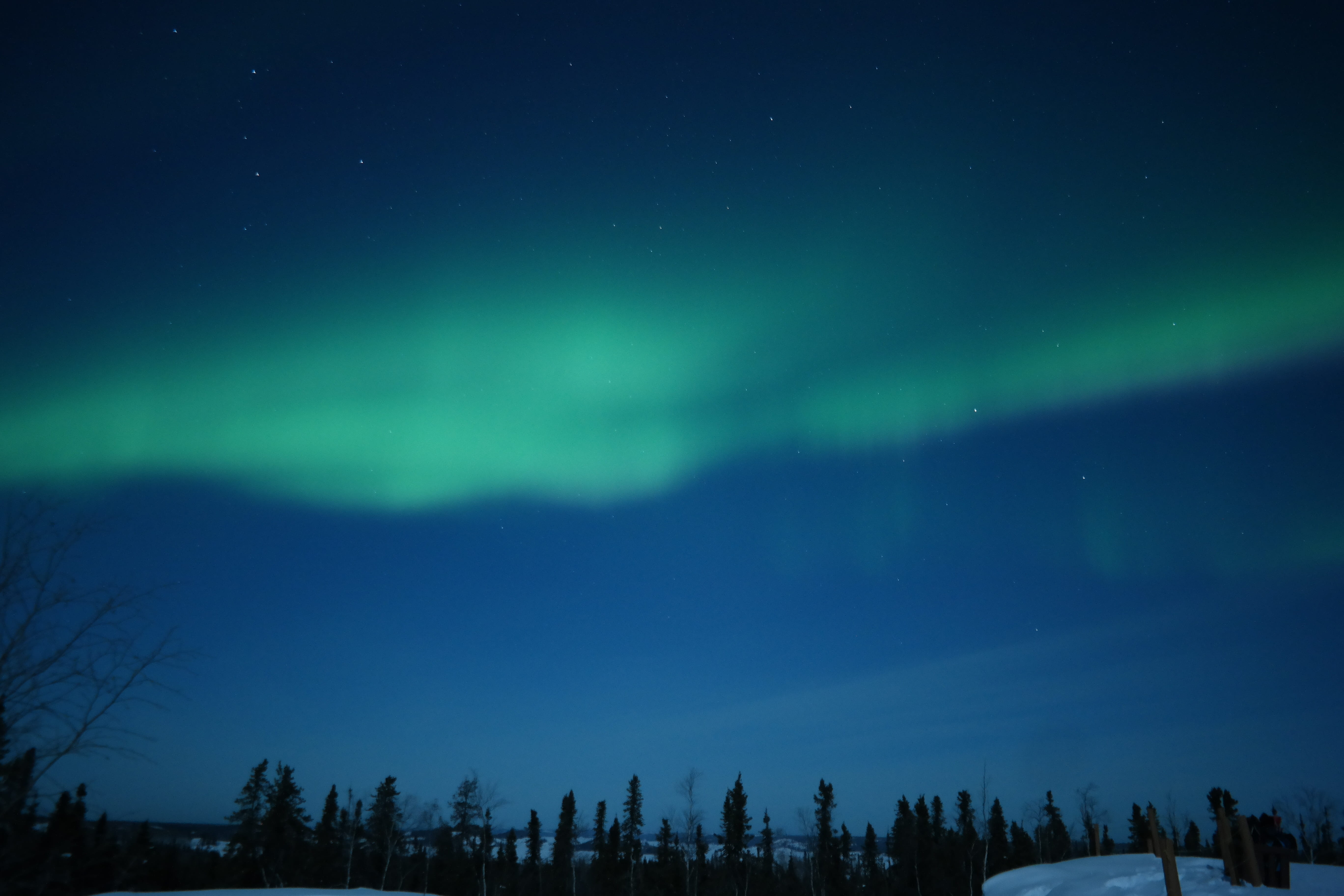 low angle view, astronomy, outdoors, luminosity, night, blue, landscape, awe, power in nature, green color, tranquility, dramatic sky, tree, aurora polaris, HD Wallpaper