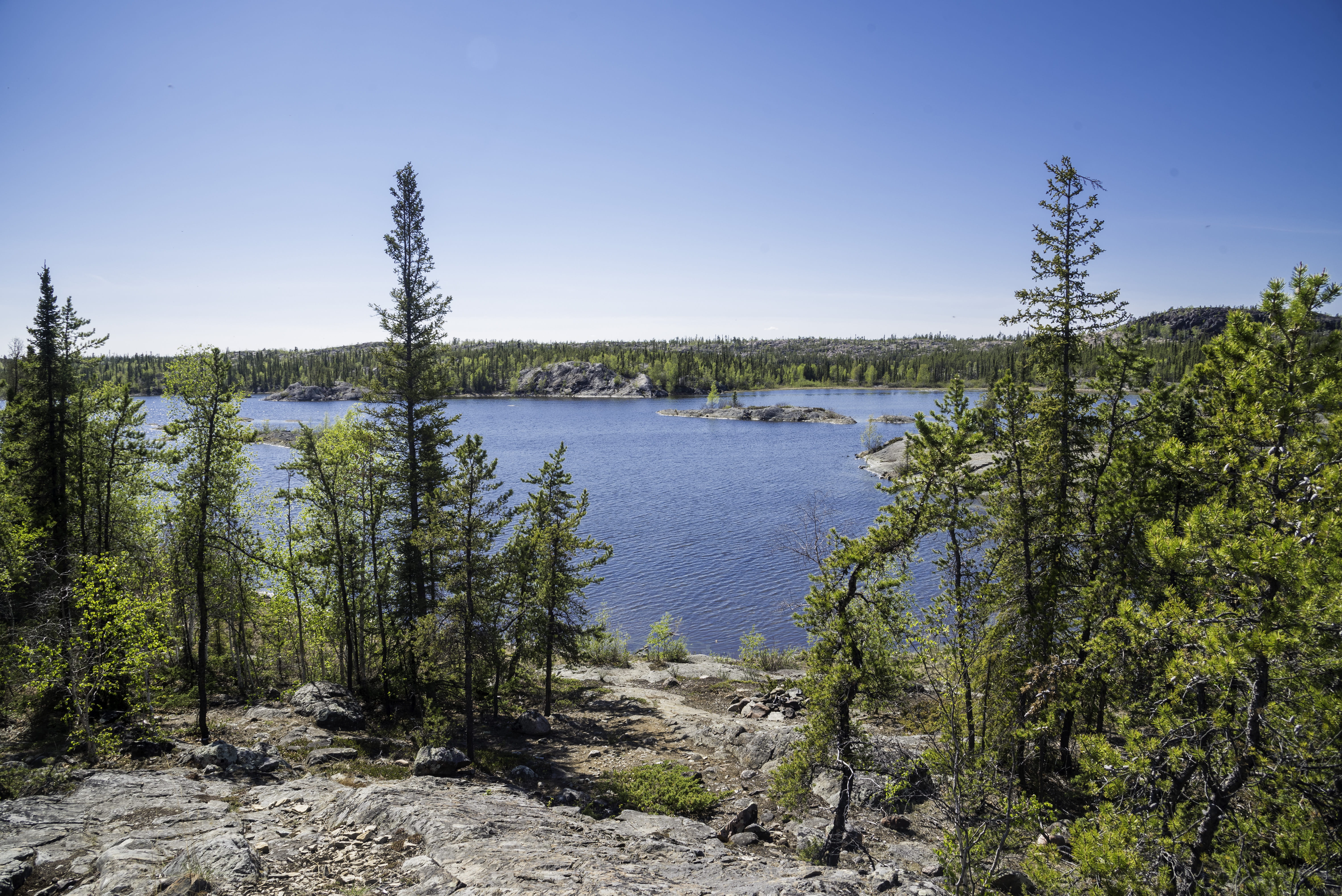 blue, tranquil scene, no People, land, pine trees, sky, landscape, day, tree, scenics, pine tree, forest, wilderness Area, looking, trees, canada, scenics - nature, HD Wallpaper