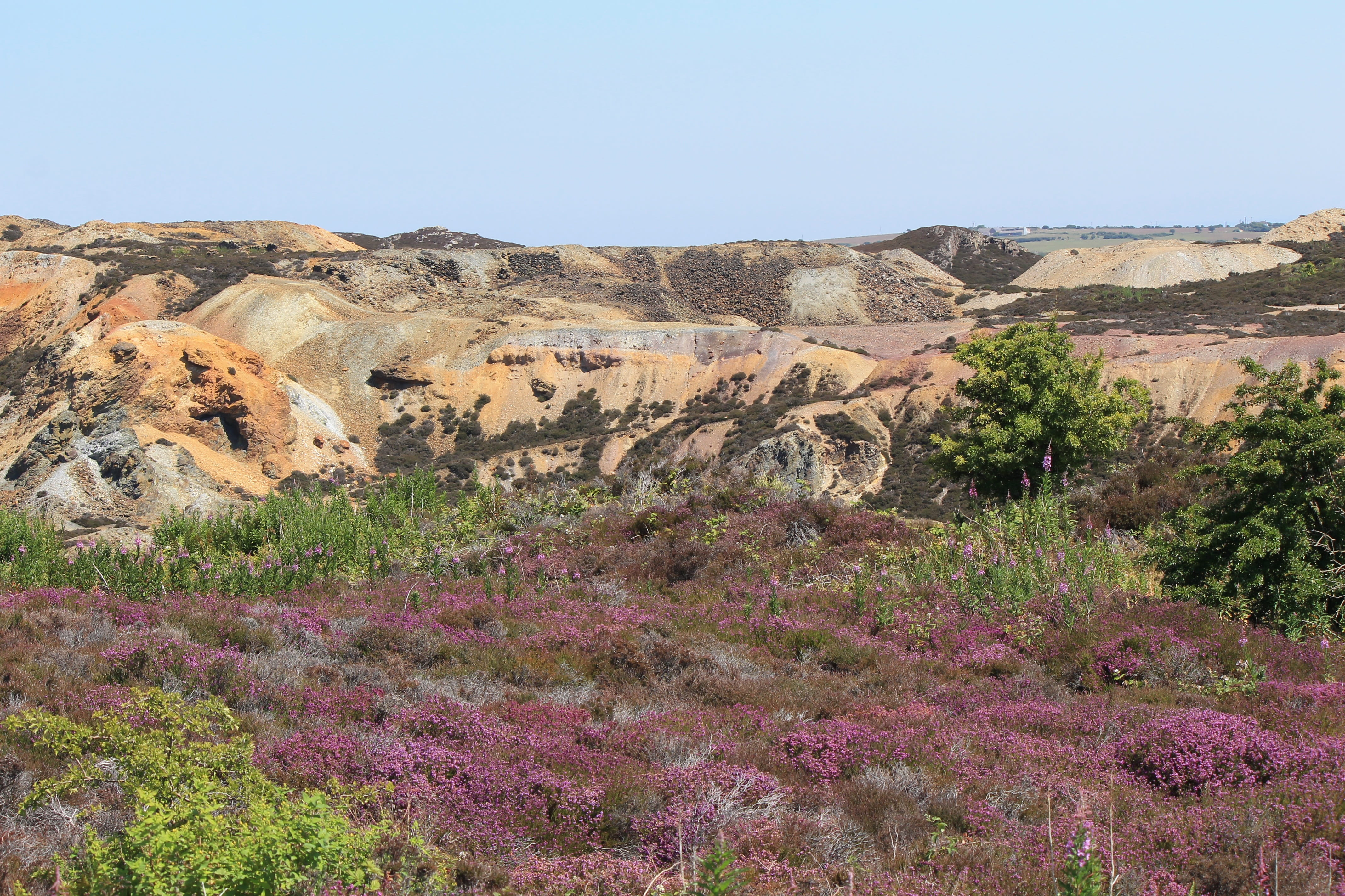 semi-arid, red, tranquil scene, historic, rock - object, travel destinations, welsh, history, tower, building, day, copper, scenics - nature, heather, land, HD Wallpaper
