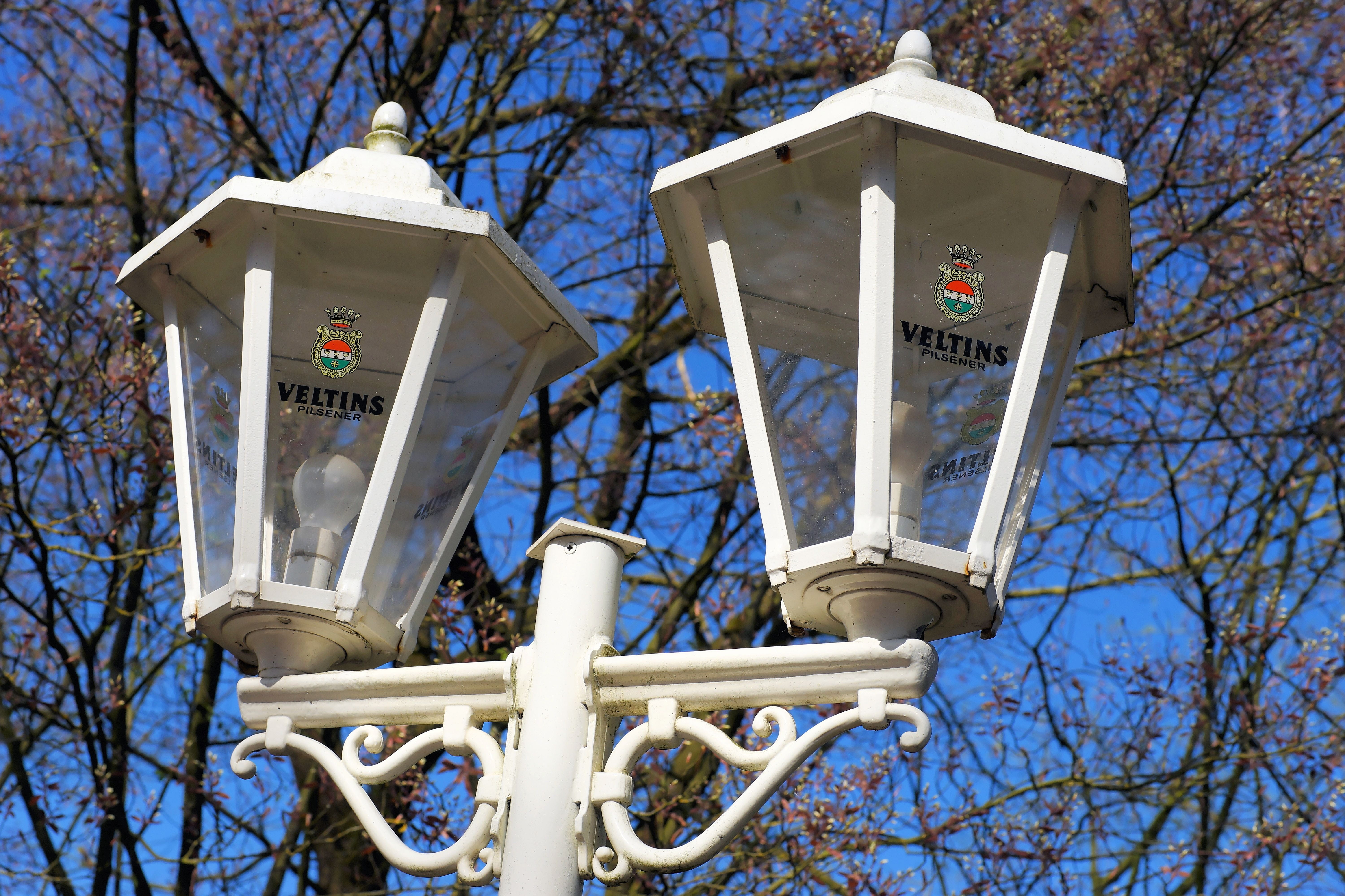 sunlight, advertising, street lamp, eye catcher, white, plant, sign, communication, caption, nature, pavement, built structure, metal, light, architecture, HD Wallpaper