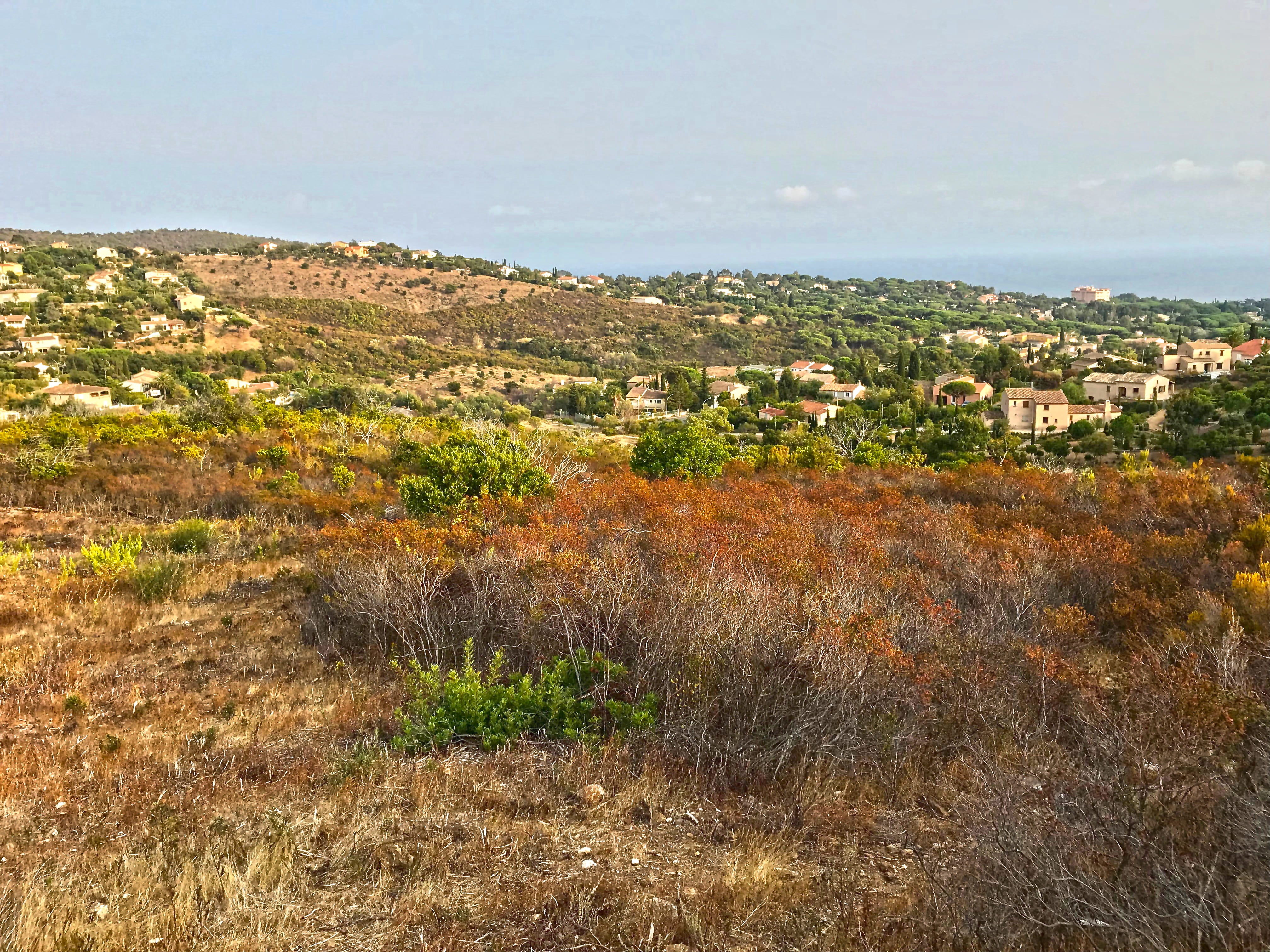 french riviera, south of france, st tropez, church, maritime alps, built structure, plant, colorful, land, outdoors, sun, day, france, beauty in nature, HD Wallpaper
