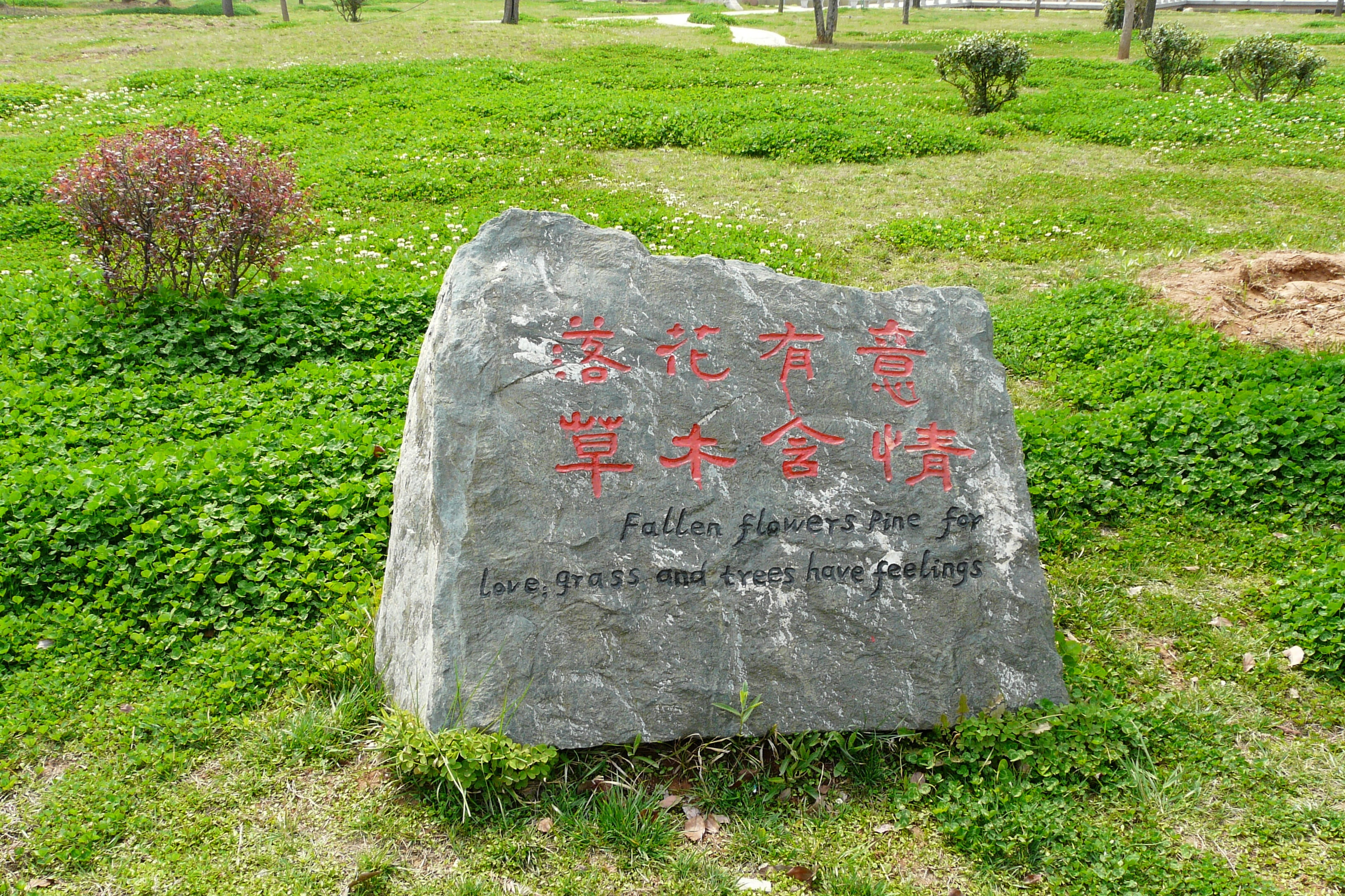no people, tranquility, outdoors, solid, field, caption, western script, communication, rock, china, high angle view, 2K, text, beauty in nature, growth, HD Wallpaper