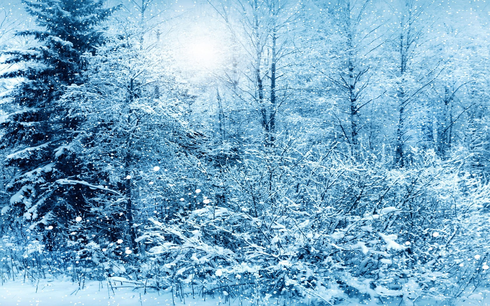 sky, covered, scenics, sunlight, spruce Tree, season, ice, abstract backgrounds, landscape, weather, backgrounds, nature, snow, non-Urban Scene, rural Scene, HD Wallpaper