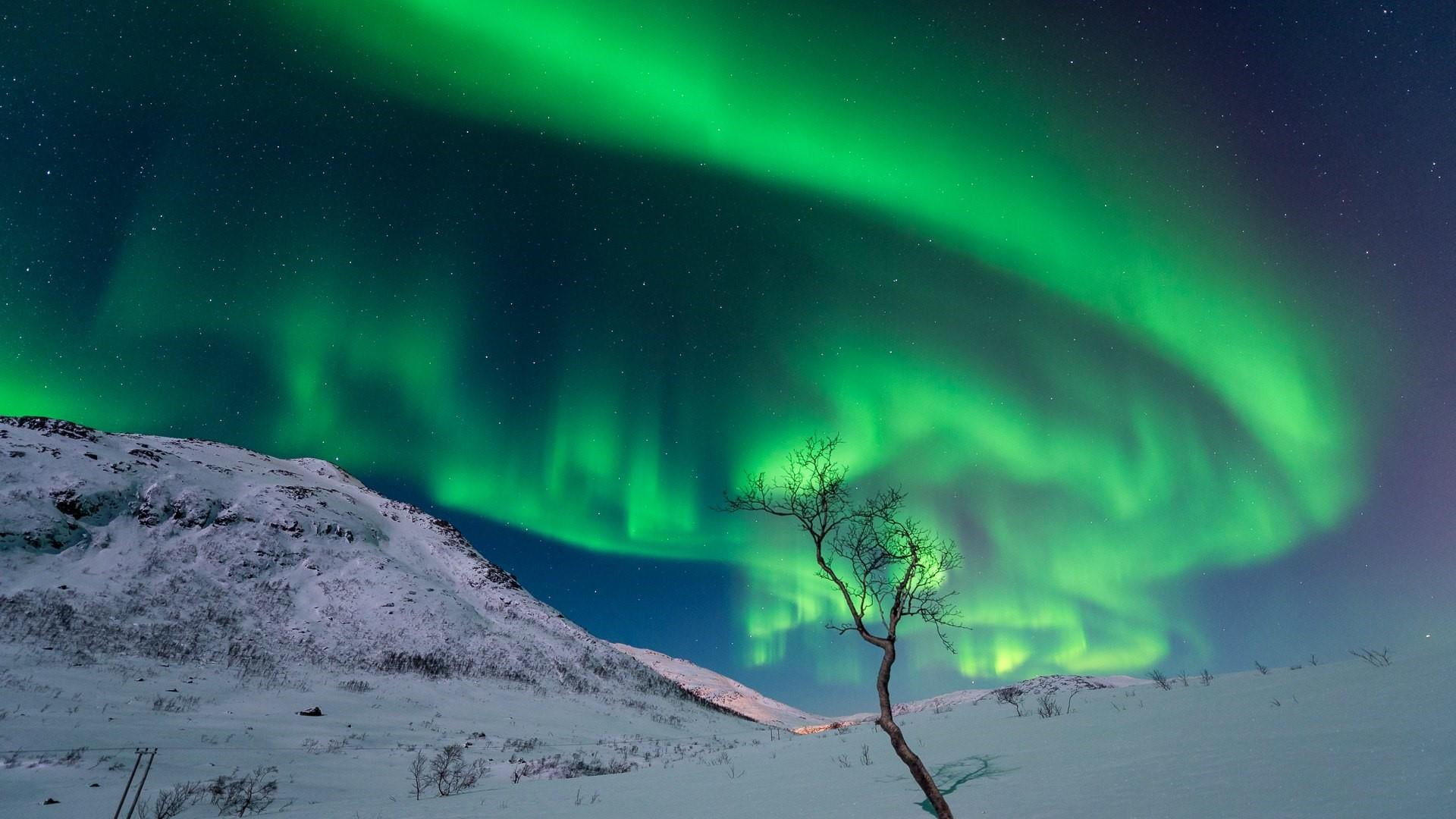 scenics - nature, power in nature, space, polar lights, landscape, dramatic landscape, snow, environment, no people, tranquility, tree, mountain, aurora borealis, HD Wallpaper