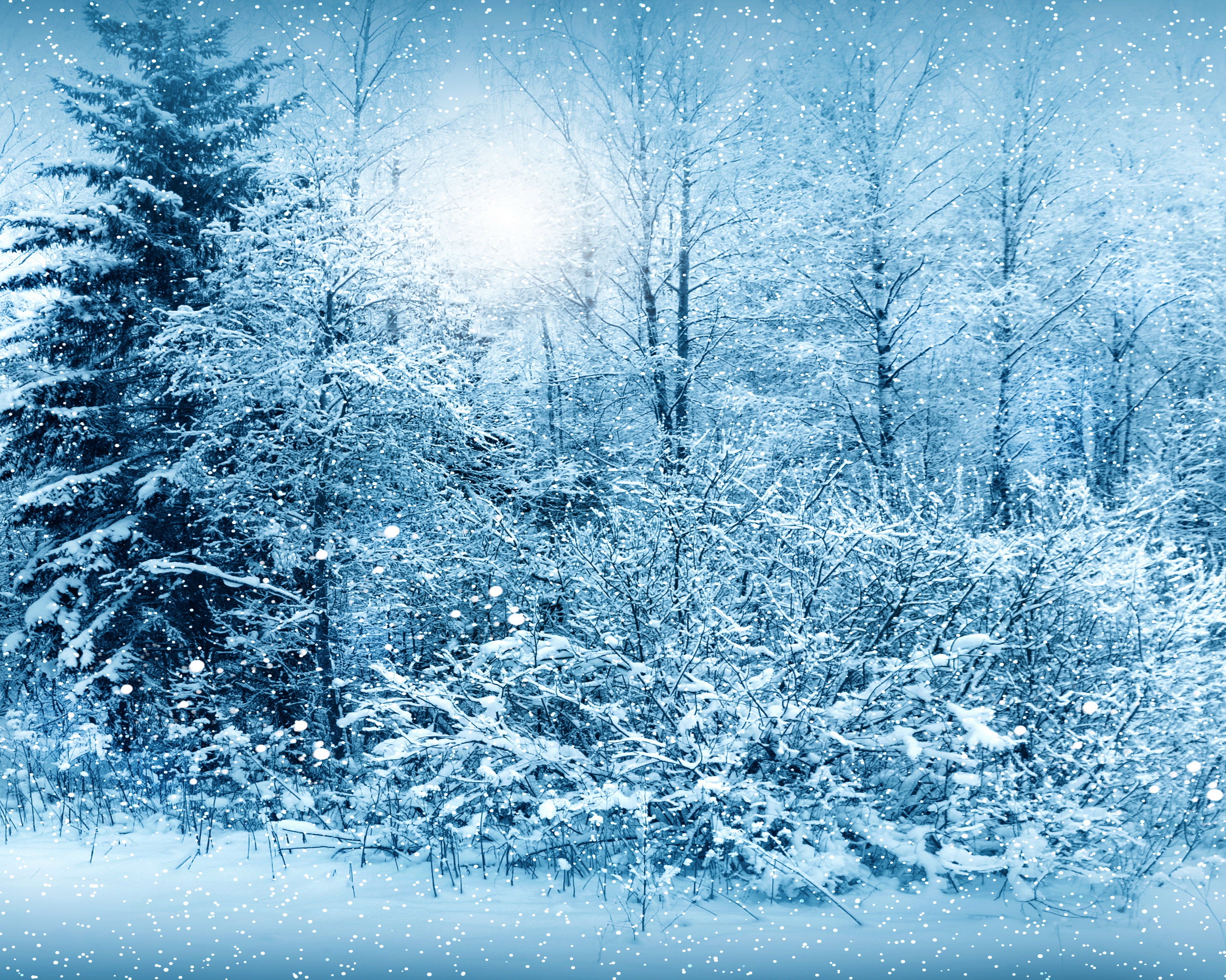 branch, frozen, light - Natural Phenomenon, extreme weather, cold temperature, abstract, tranquility, landscape, christmas, tranquil Scene, rural Scene, HD Wallpaper
