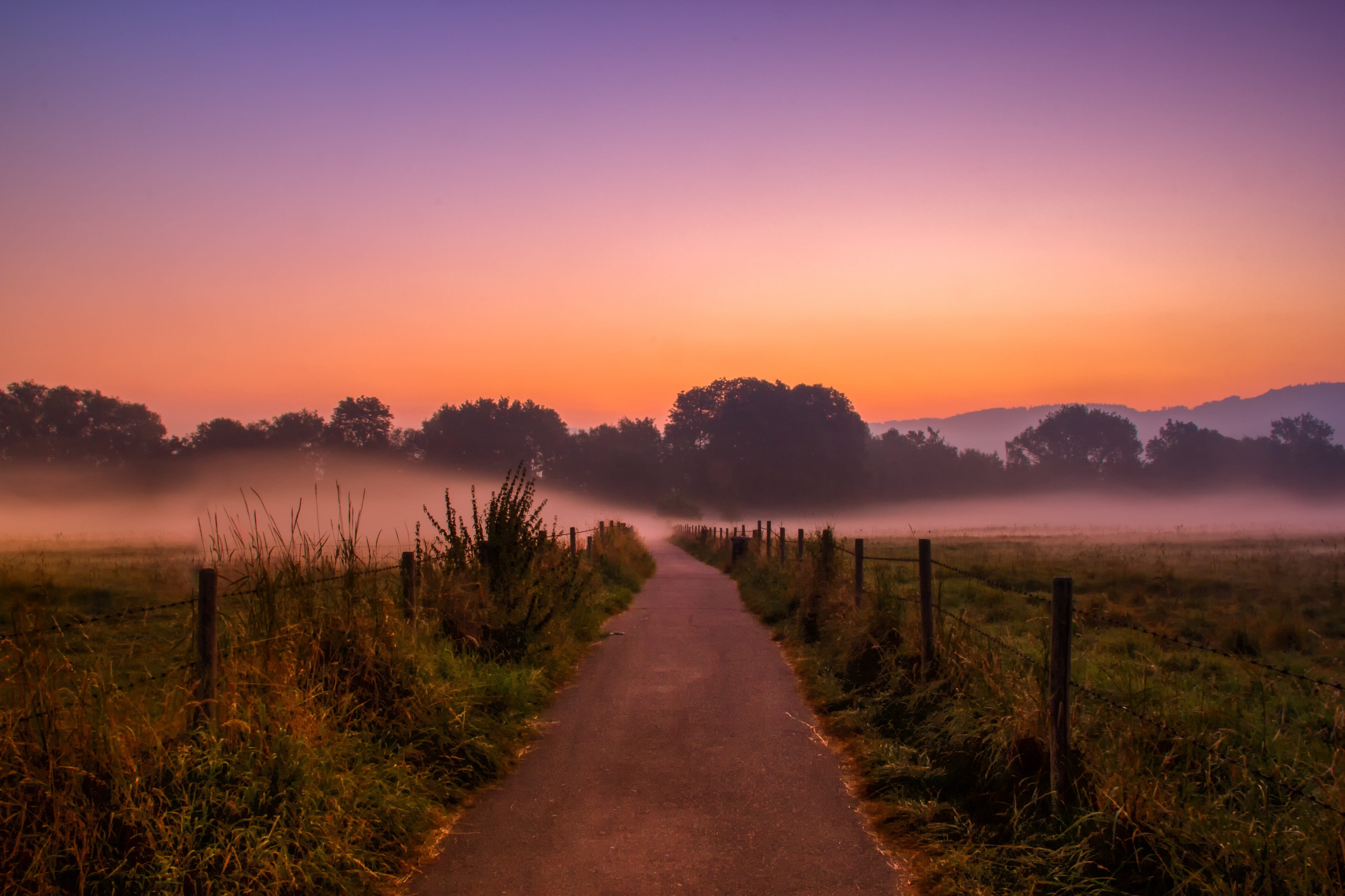 nebelschleier, green, post, fence, fog, 5K, the way forward, tranquil scene, plant, land, dawn, grass, sun, away, mood, idyllic, morning, beauty in nature, HD Wallpaper