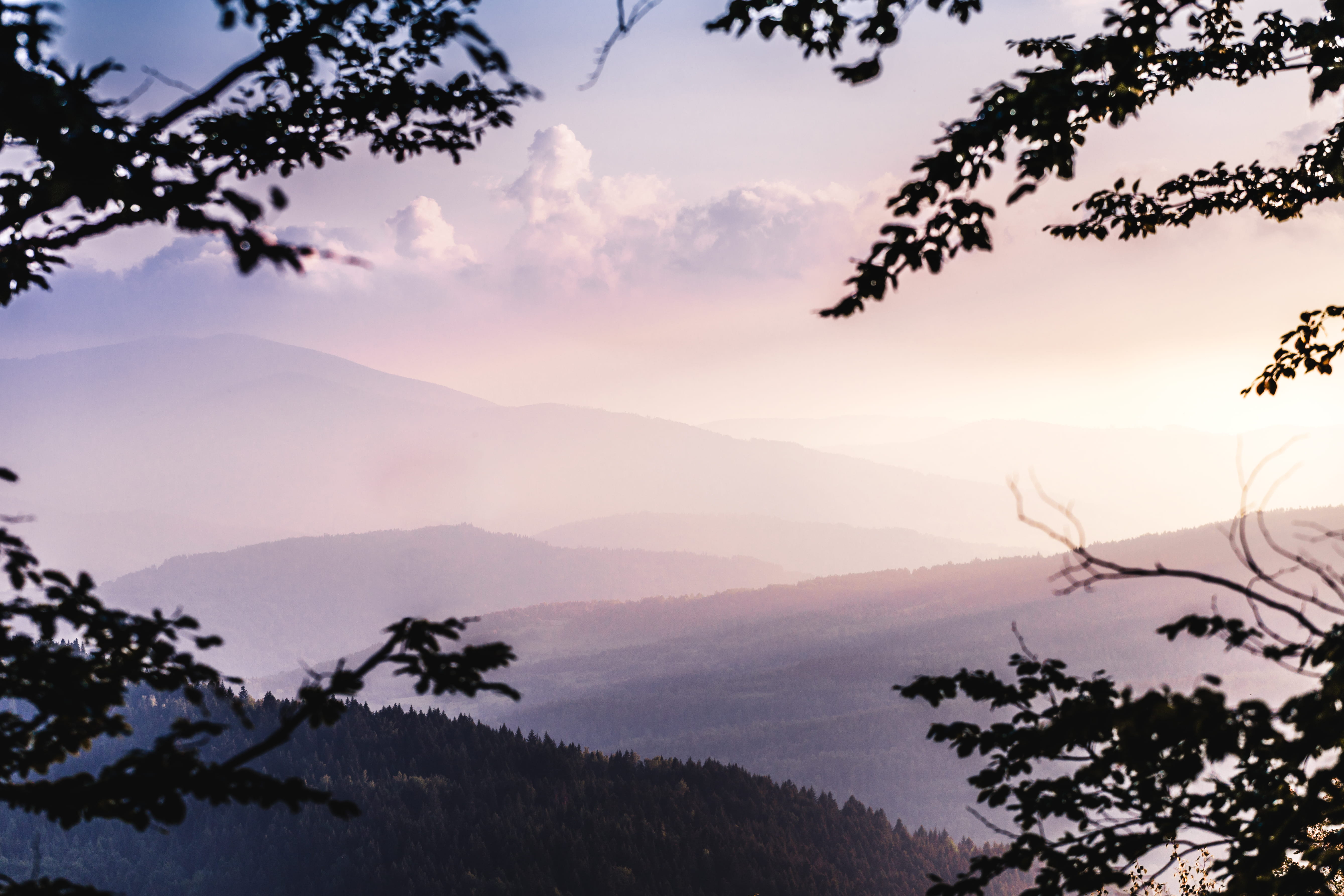 leafed, trees, mountains, cloud - sky, tranquility, 5K, outdoors, landscape, beauty in nature, tranquil scene, scenics - nature, silhouette, hill, forest, HD Wallpaper