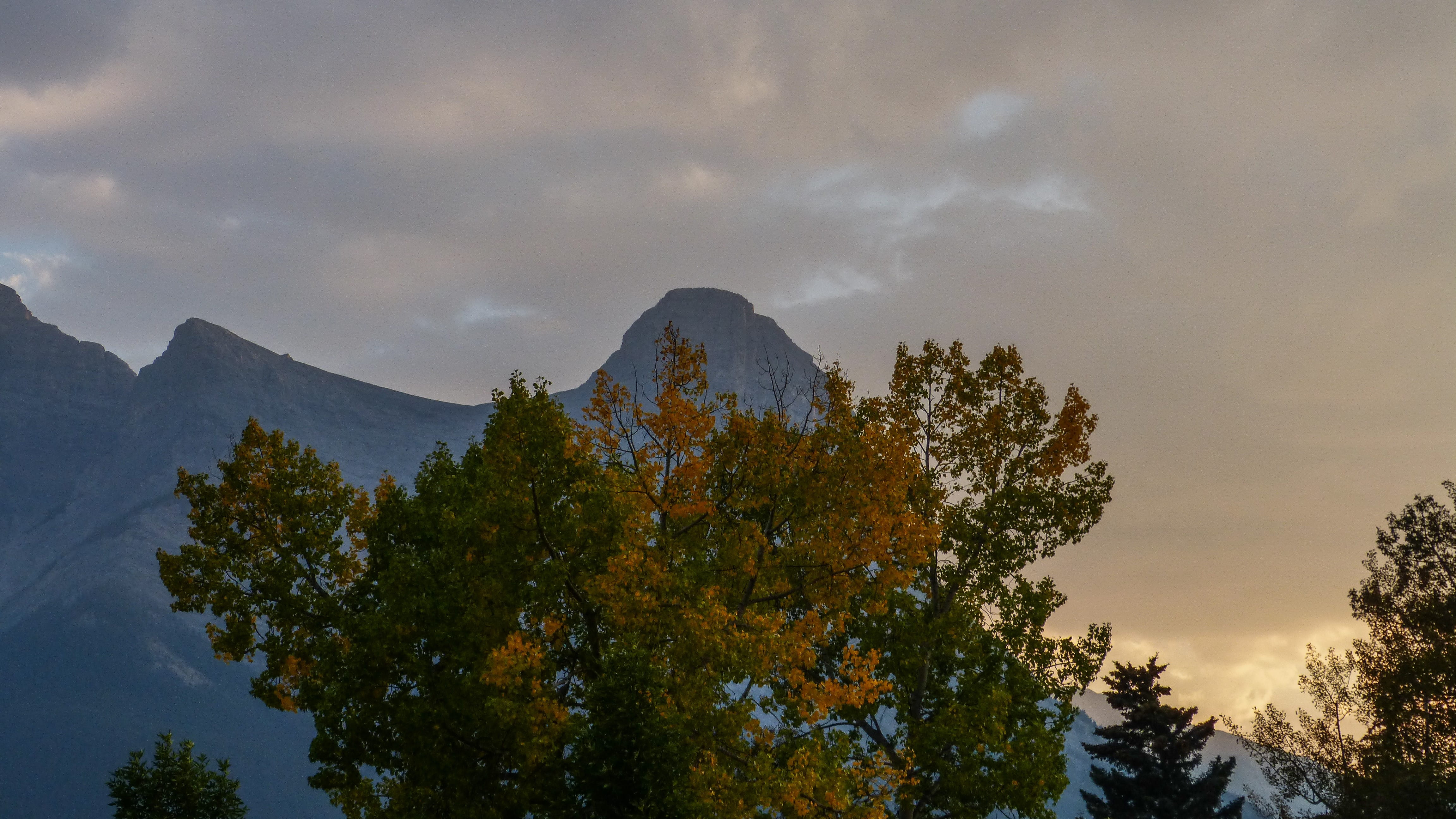yellow, nature, growth, cloud - sky, canada, mountain range, mountain, beauty in nature, tranquility, leaves, idyllic, low angle view, sunny, mountains, HD Wallpaper