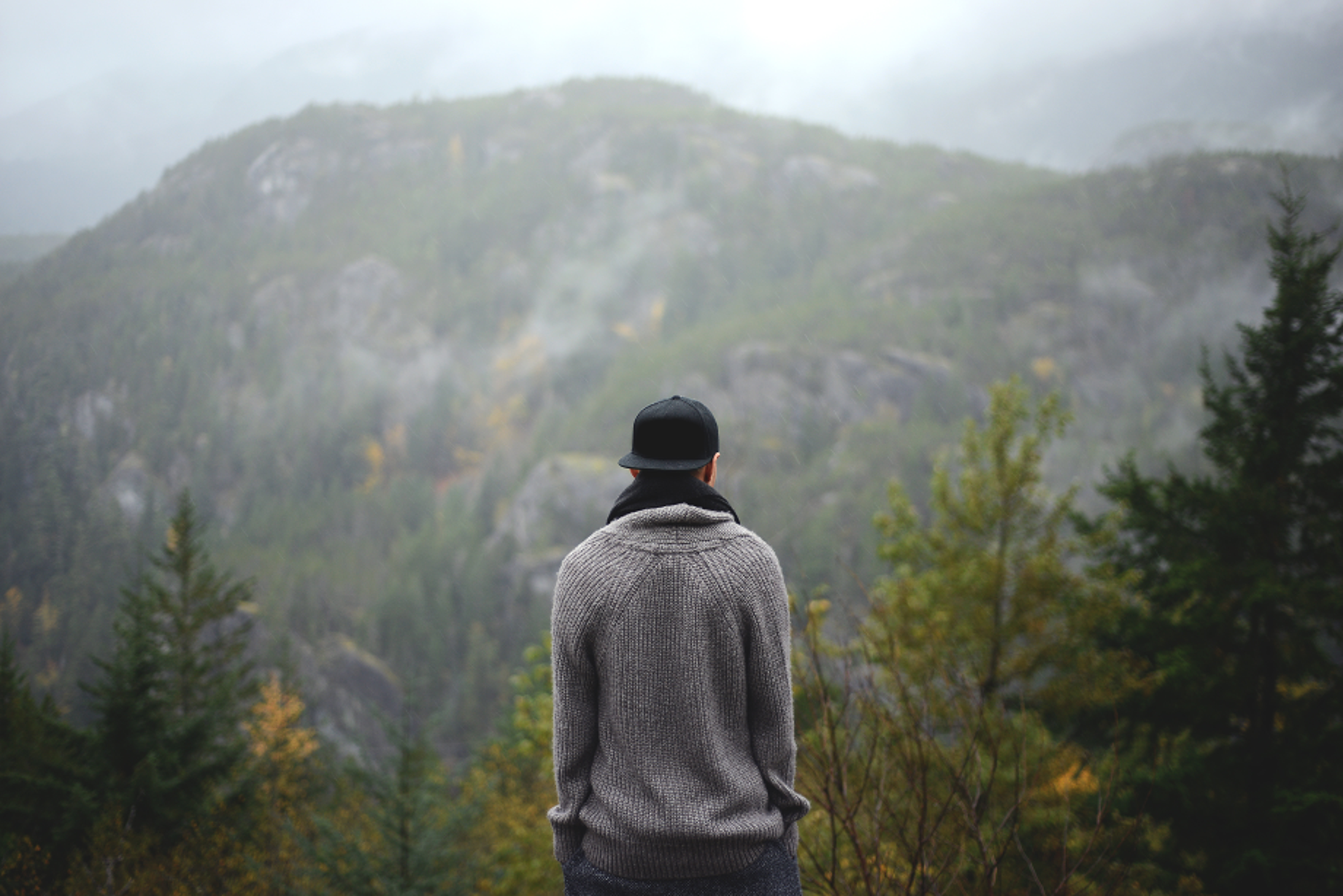 conifers, clothing, standing, hood - clothing, cap, waist up, mountain, daylight, tree, fir trees, woods, lifestyles, misty, trees, one person, fog, scenic, HD Wallpaper