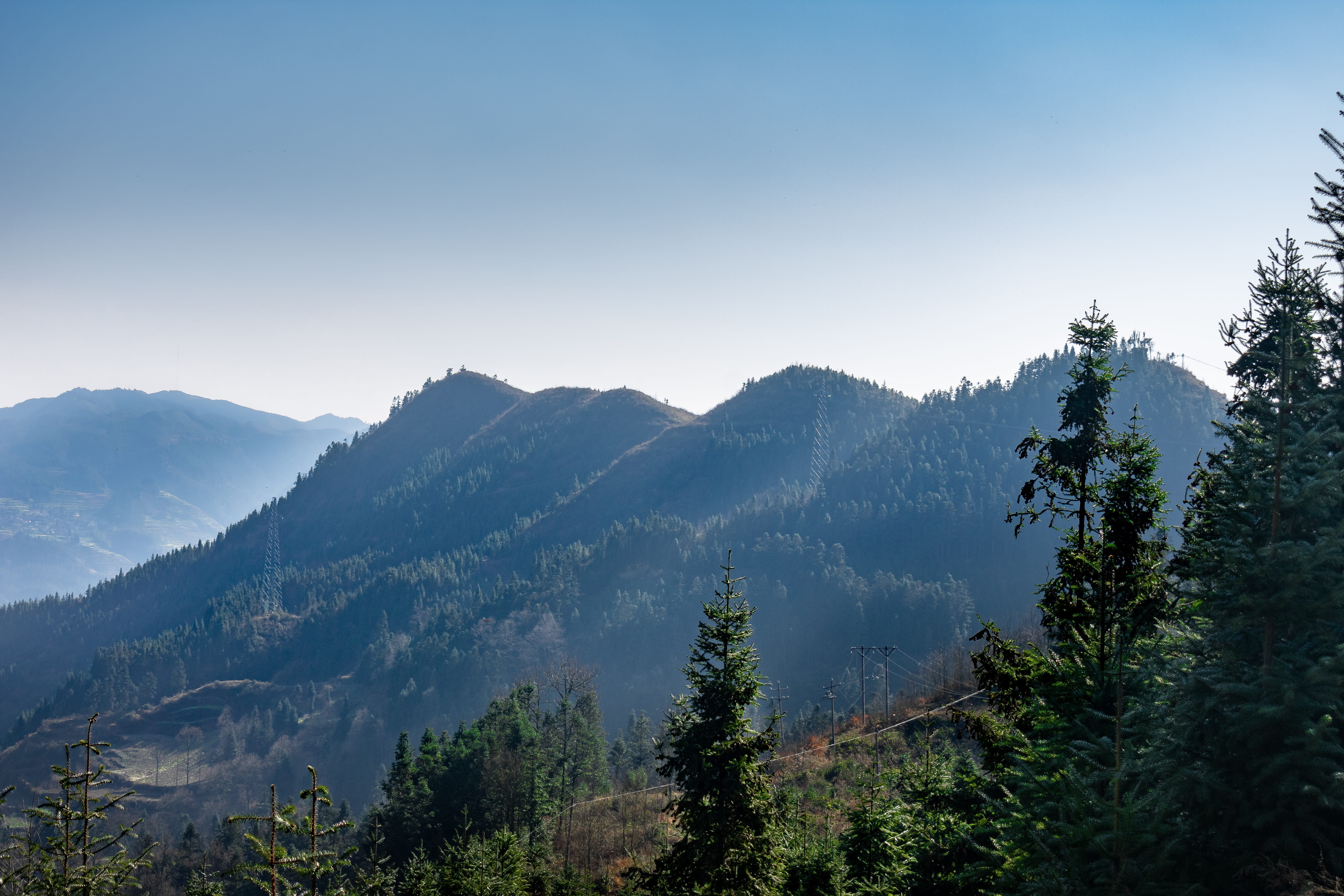 land, coniferous tree, guizhou, non-urban scene, mountain, sky, landscape, cloud expensive plateau, idyllic, on the slopes, tree, lancet fir, tranquility, HD Wallpaper