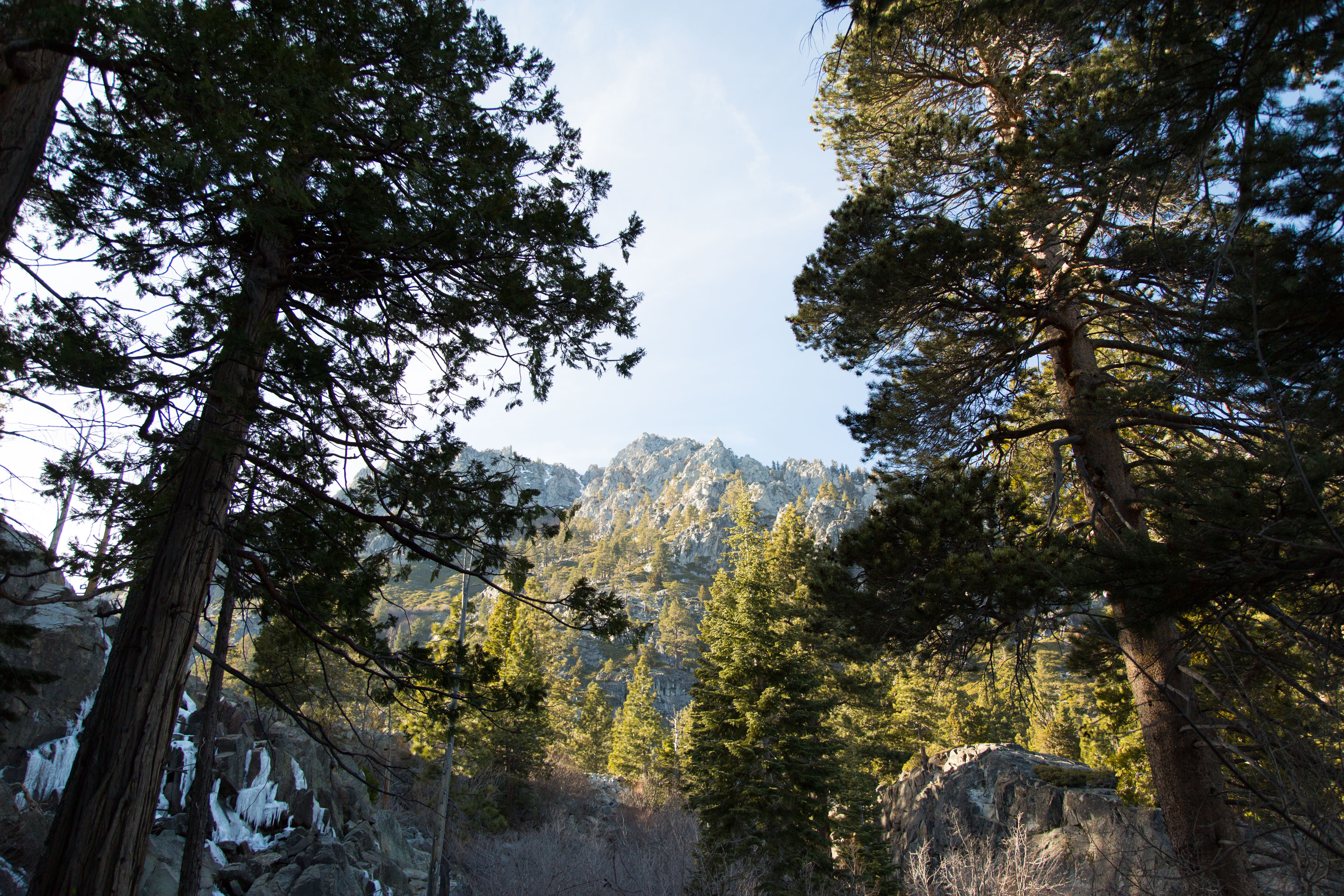 mountain, woods, sky, trees, no people, rocks, travel, tranquil scene, tranquility, tree, beauty in nature, day, land, murky, evergreen, foggy, stones, HD Wallpaper