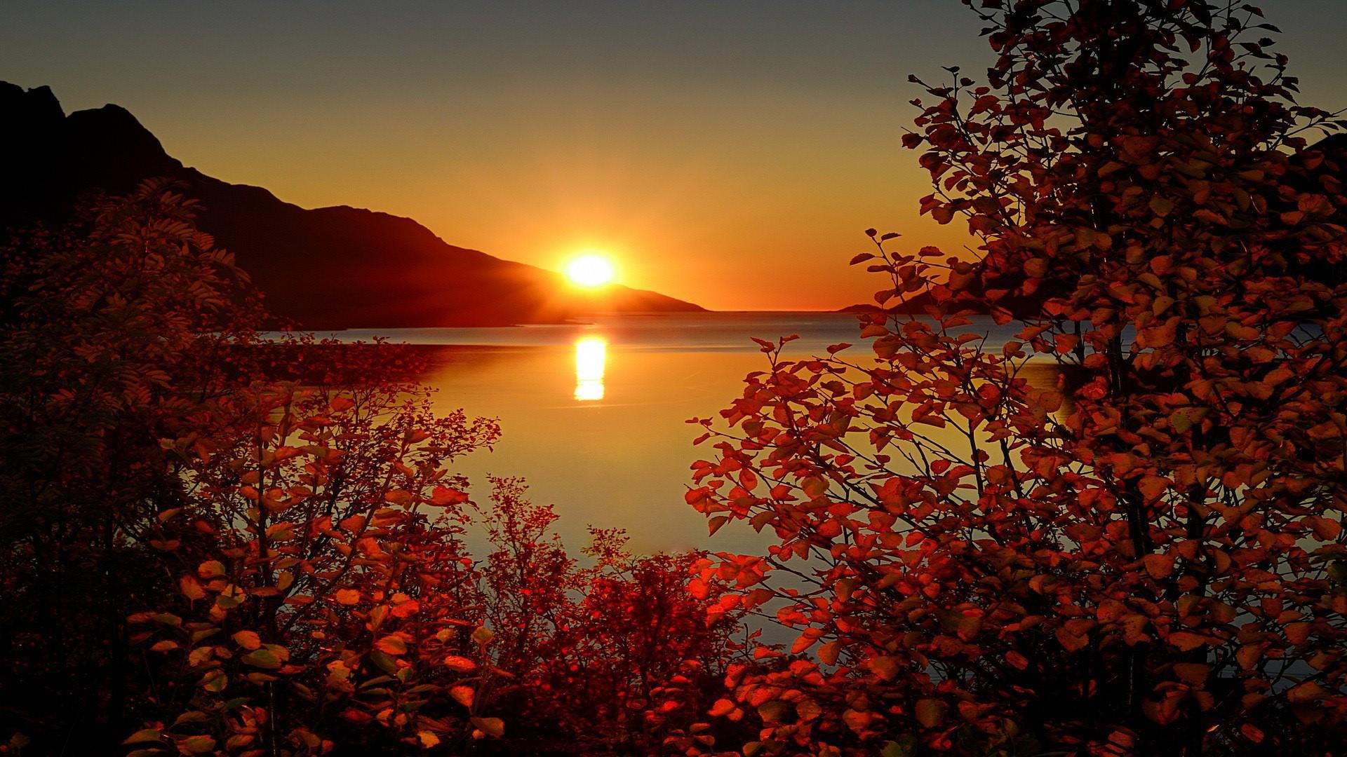 outdoors, water, sunset, change, no people, sea, plant part, tranquil scene, red leaves, leaf, beauty in nature, plant, nature, sun, idyllic, ersfjordbotn, HD Wallpaper