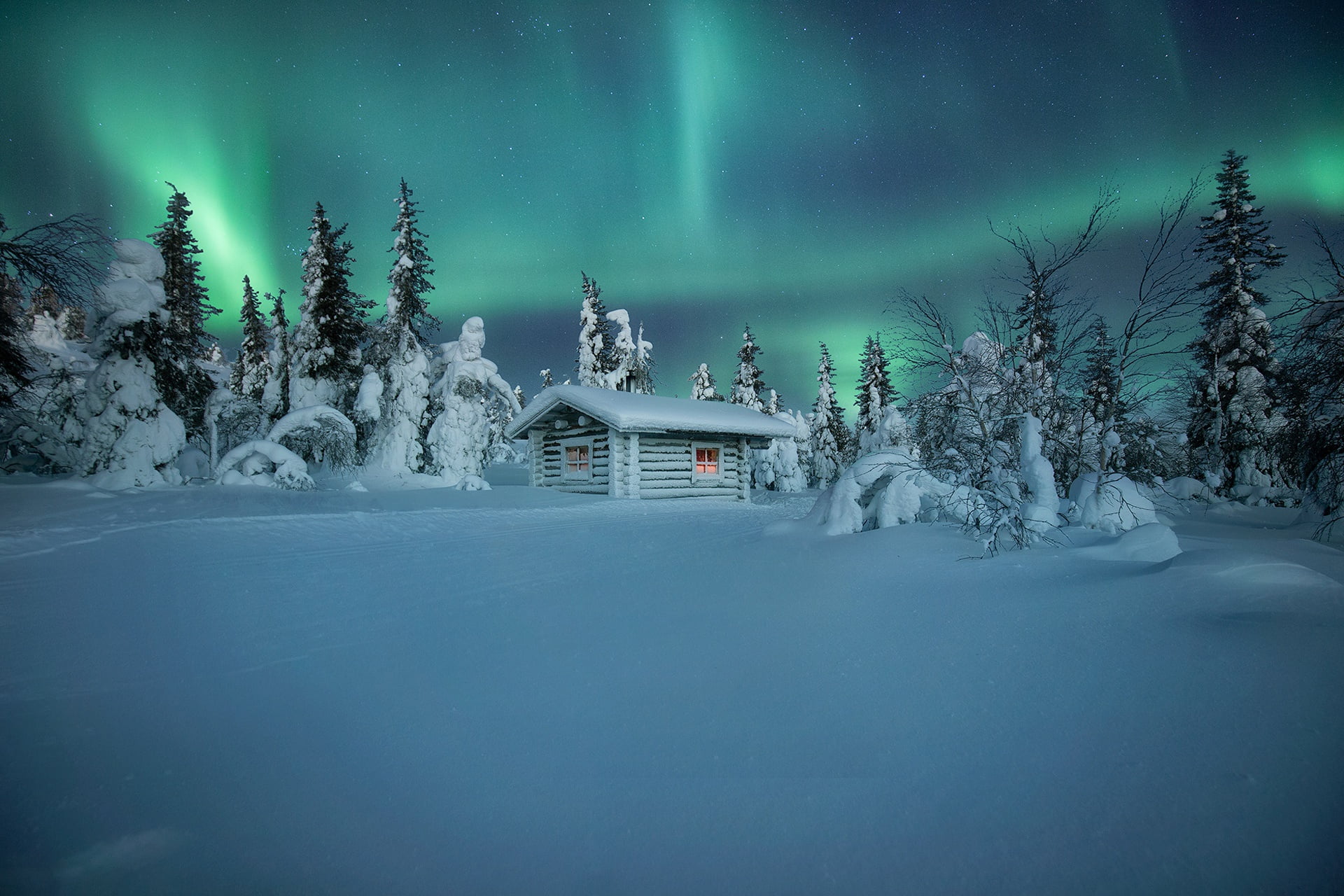 hut, winter, 1080P, Andrey Bazanov, Finland, trees, snow, Northern lights, the snow, HD Wallpaper