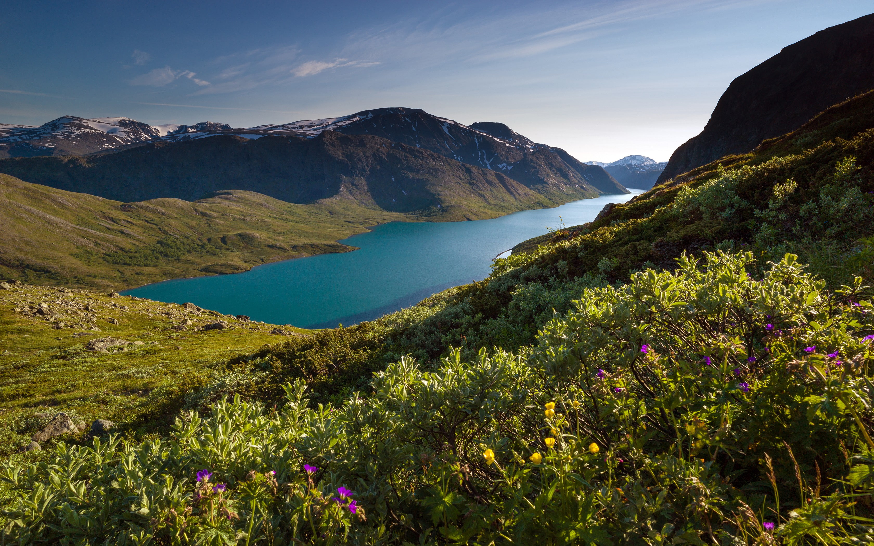 summer, grass, wildflowers, nature, 2K, snowy peak, Norway, fjord, landscape, mountains, sunlight, HD Wallpaper