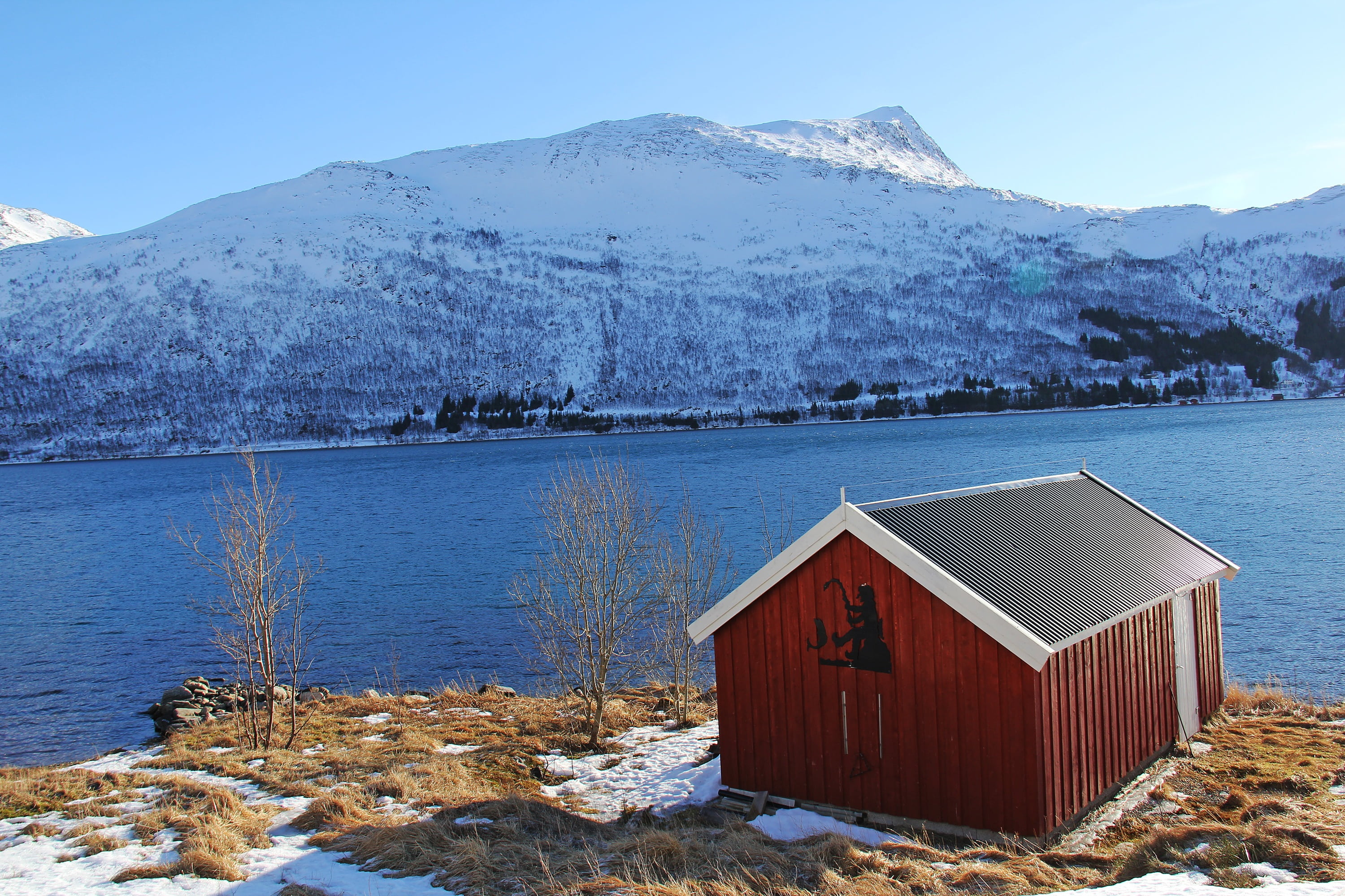 tree, cold temperature, beautiful, water, lauklines kystferie, mountain range, body, plant, day, kvaløysletta, scandinavia, sea, non-urban scene, lake, HD Wallpaper