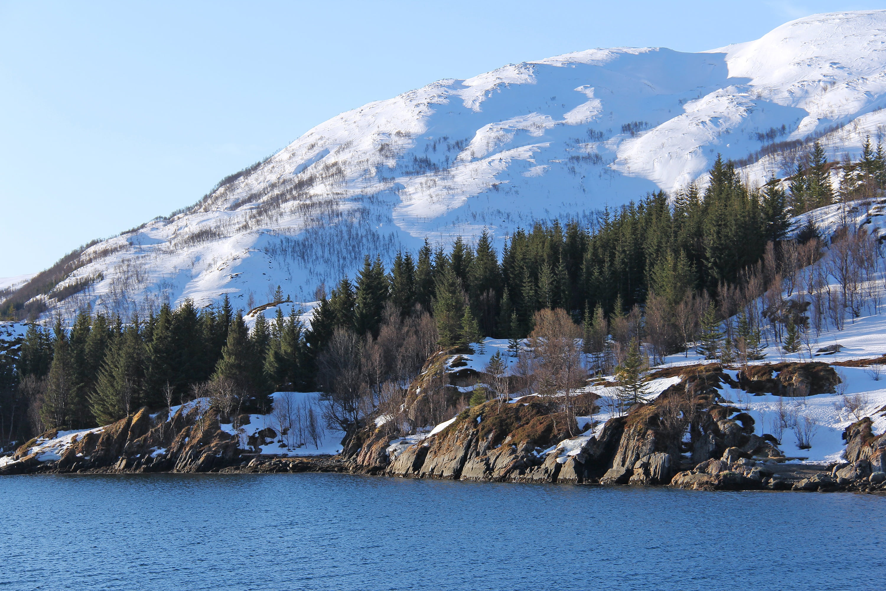 scandinavia, snow, mountain, europe, landscape, water, pine tree, nature, tranquility, fjord, sea, cold temperature, snowcapped mountain, norway, beauty in nature, HD Wallpaper