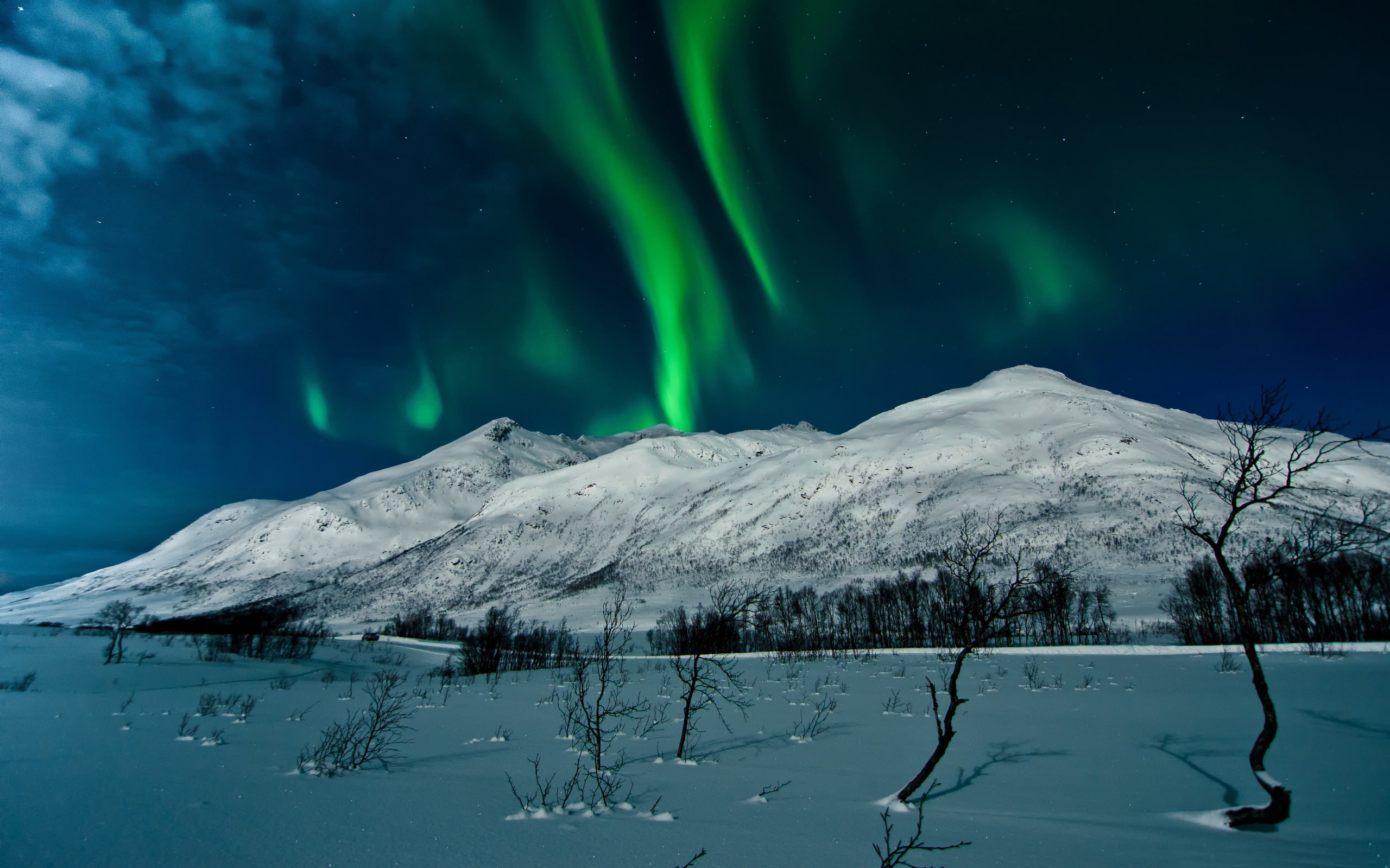 aurora polaris, hd, norway, phenomenon, borealis, scenics - nature, snowcapped mountain, idyllic, tranquil scene, scenery, snow, green color, HD Wallpaper