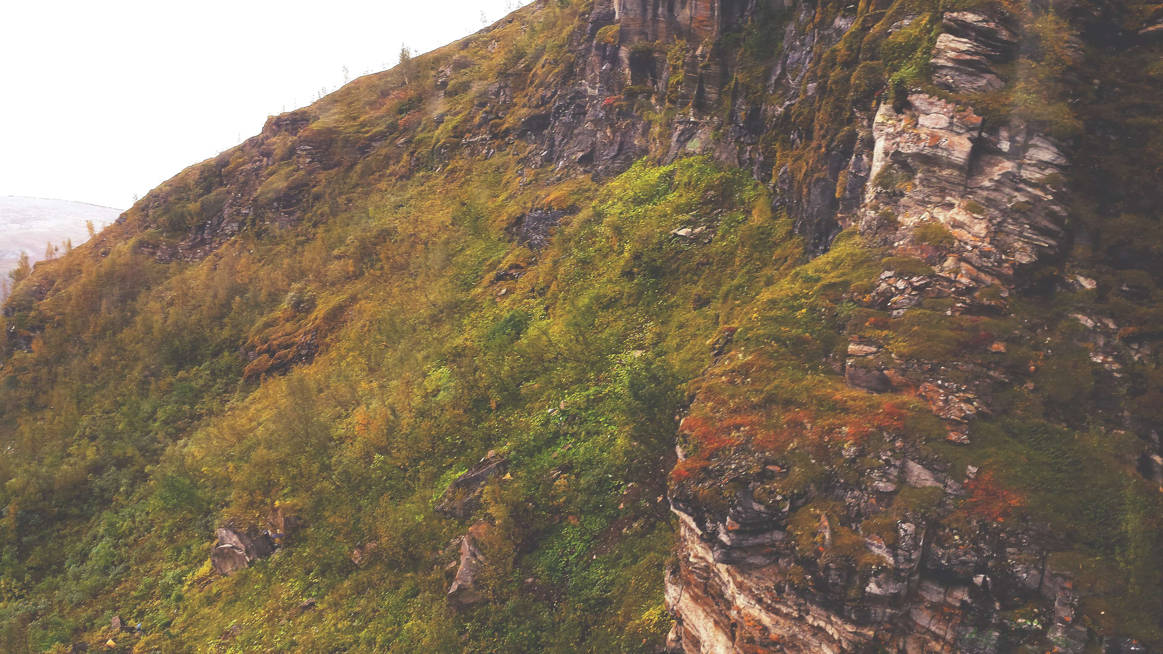 mountain, plant, scandinavia, day, ascent, land, no people, cliff, idyllic, growth, outdoors, tranquility, beauty in nature, tranquil scene, 4K, norway, HD Wallpaper