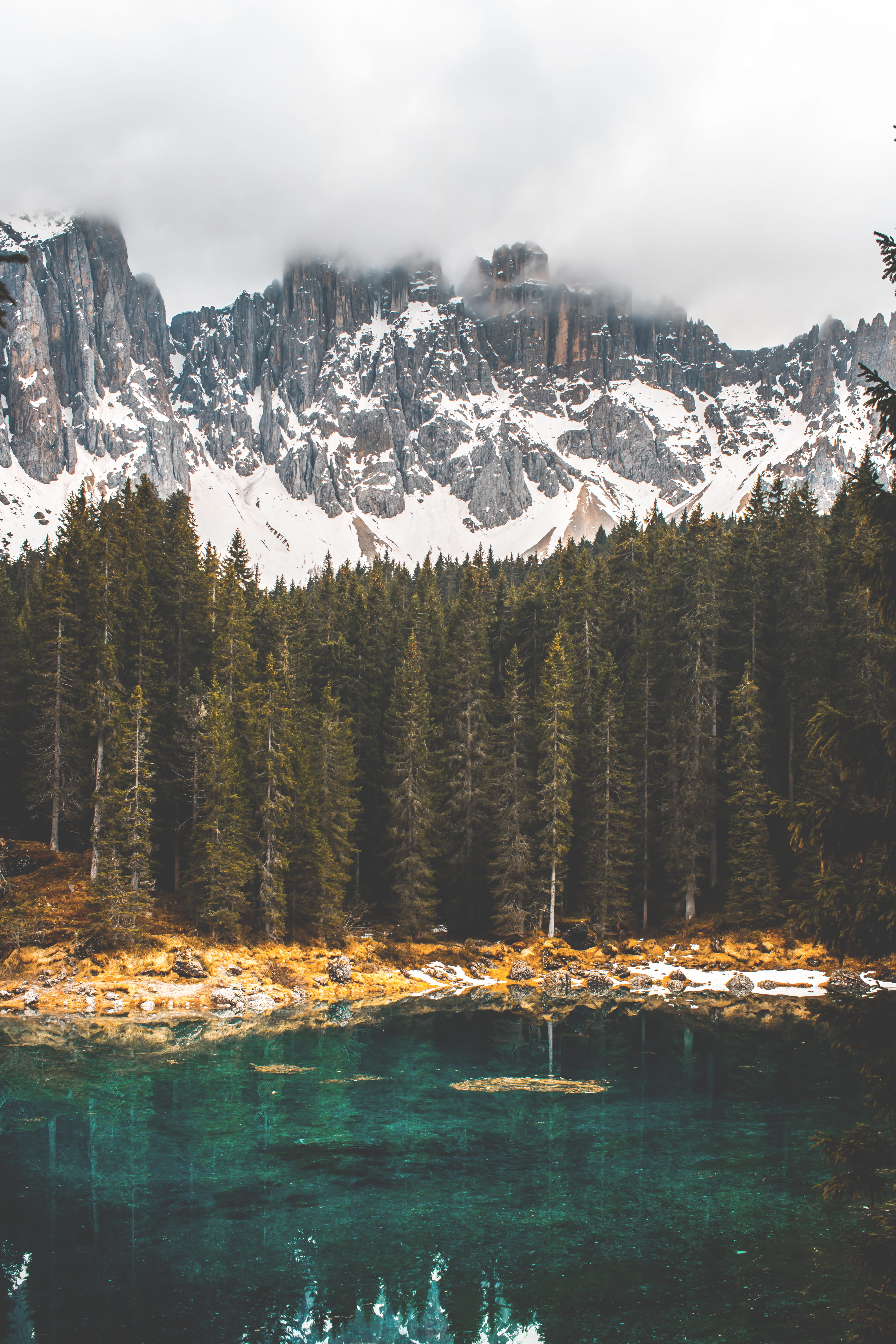 daytime, italy, tranquility, wood, mountain range, snow, covered, formation, snowcapped mountain, mobile, carezza, trees, mountain, day, still, Phone HD Wallpaper