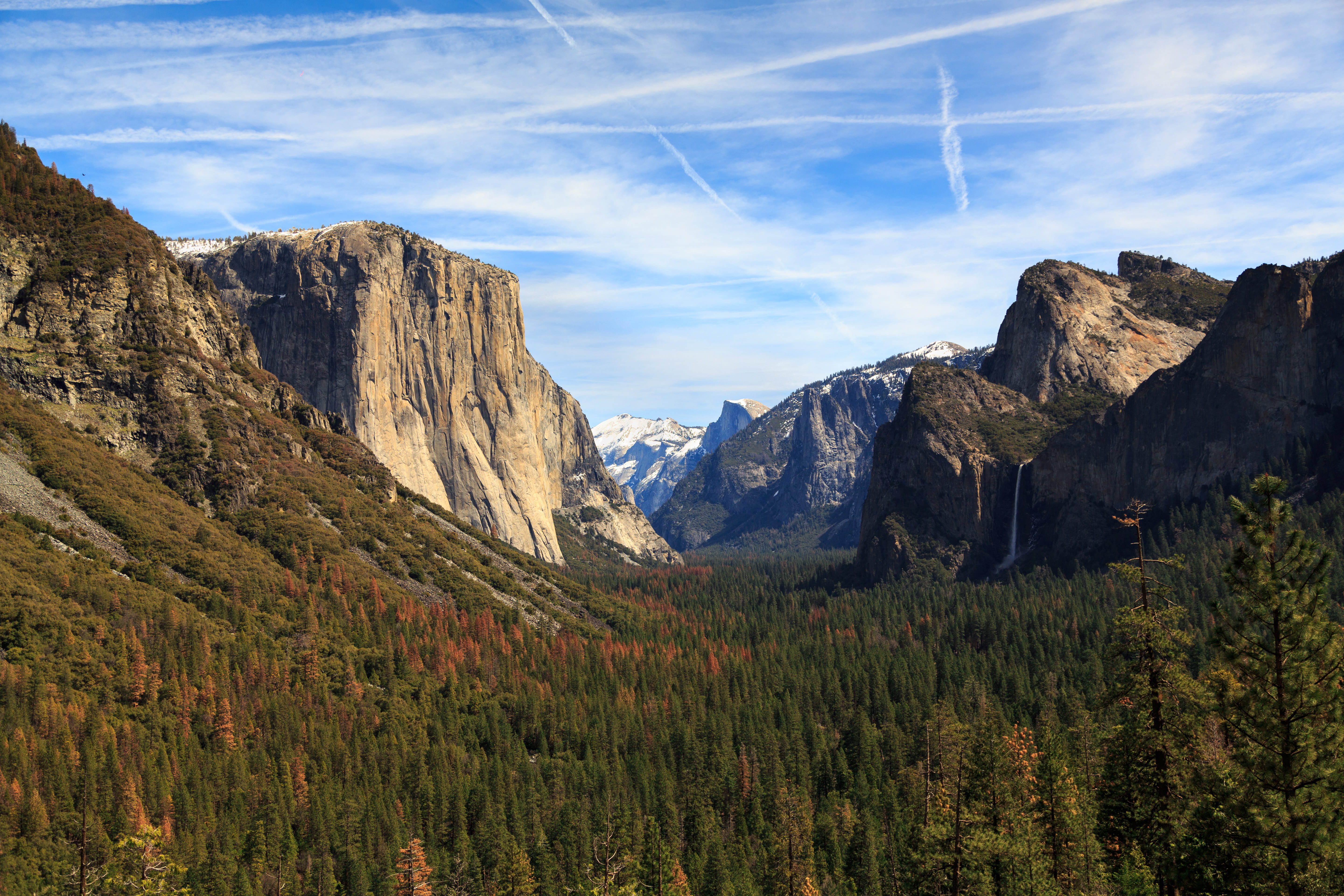 pine tree, landscape, valley, land, peak, environment, canyon, scenics - nature, mountain range, outdoors, green, mountian, daytime, formation, non-urban scene, HD Wallpaper