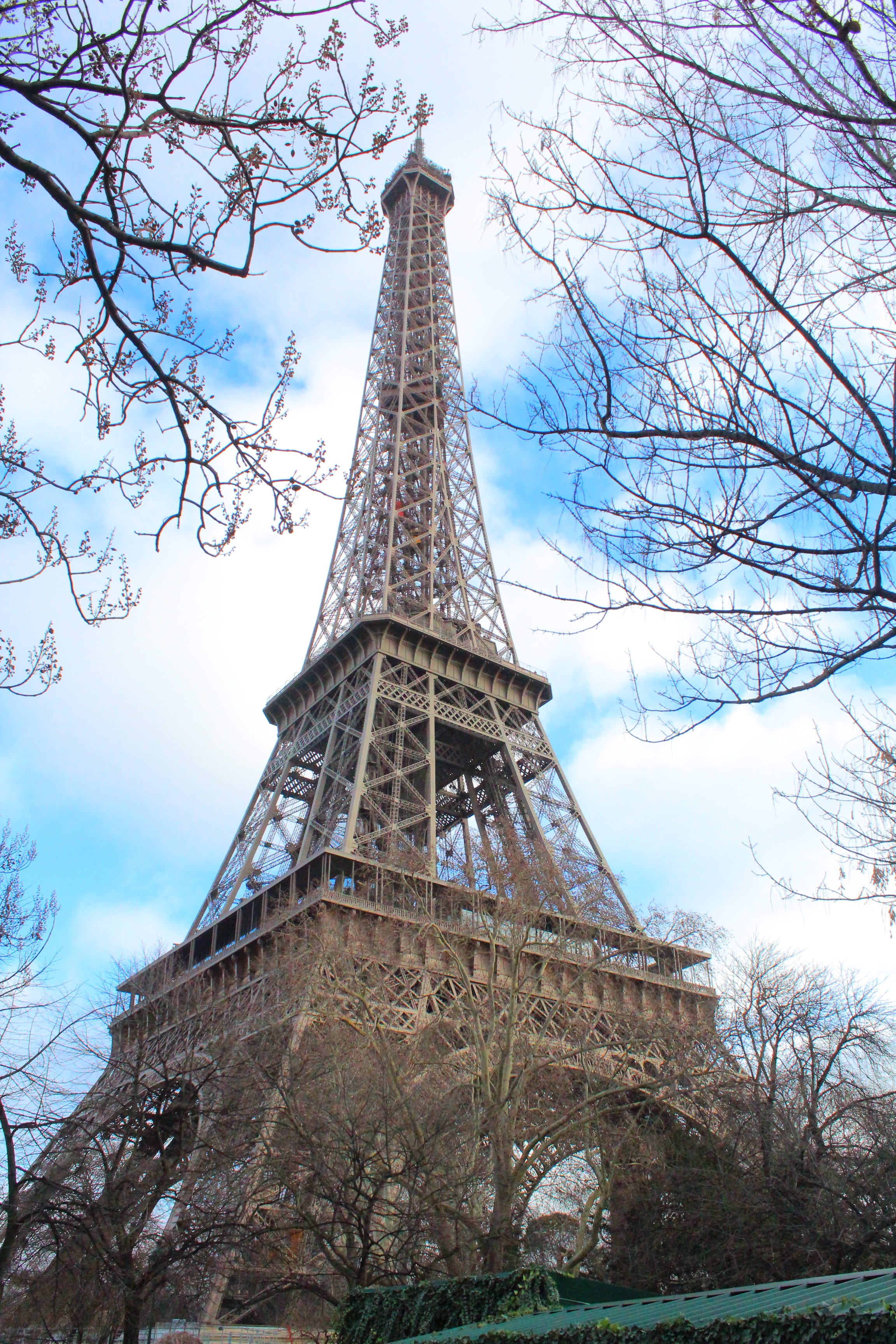 nature, steel, travel, metal, famous Place, low angle view, bare tree, architecture, tree, monument, Tr, tourism, urban Scene, Eiffel Tower, Paris, europe, Phone HD Wallpaper
