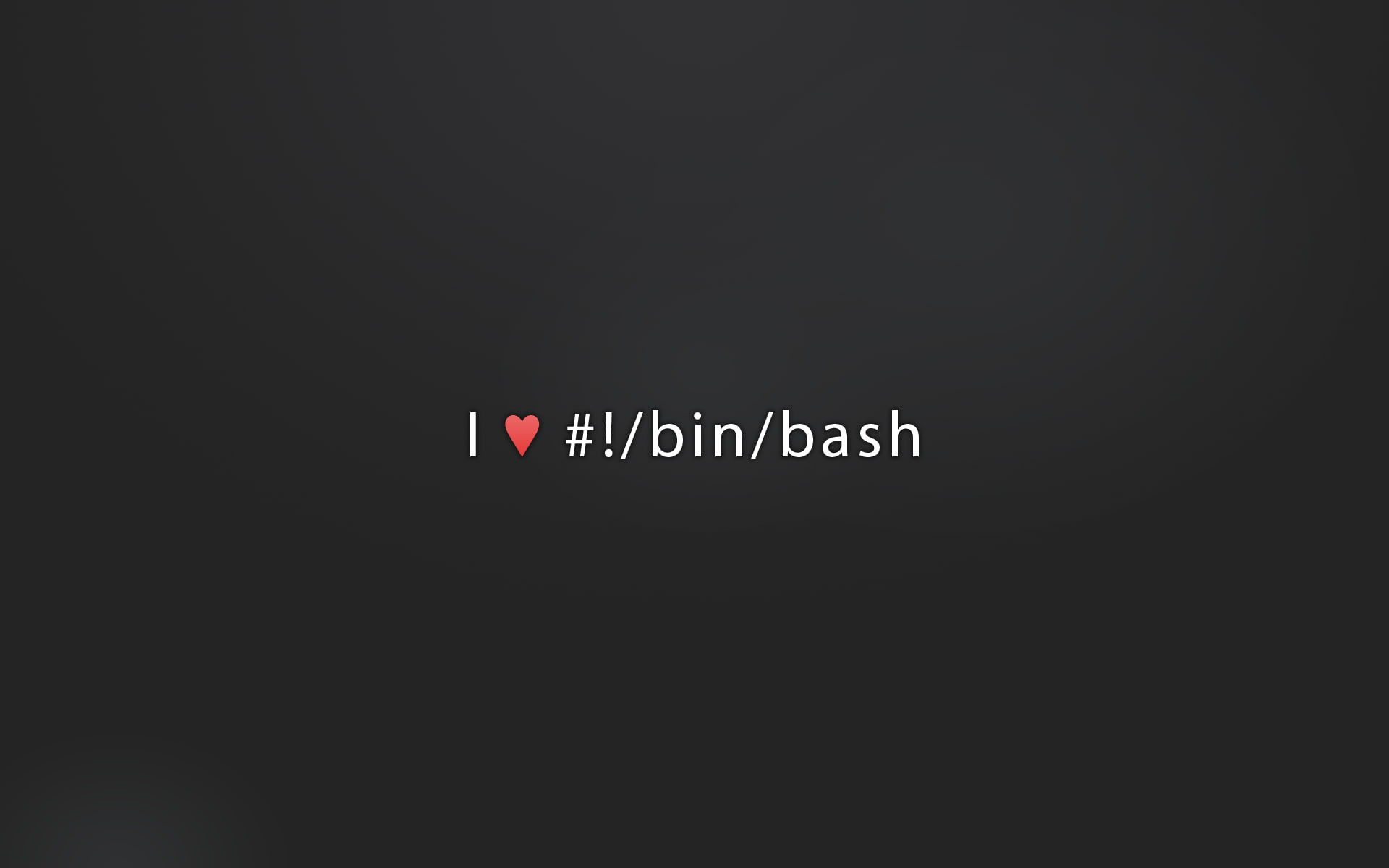 bash, 1080P, HD Wallpaper