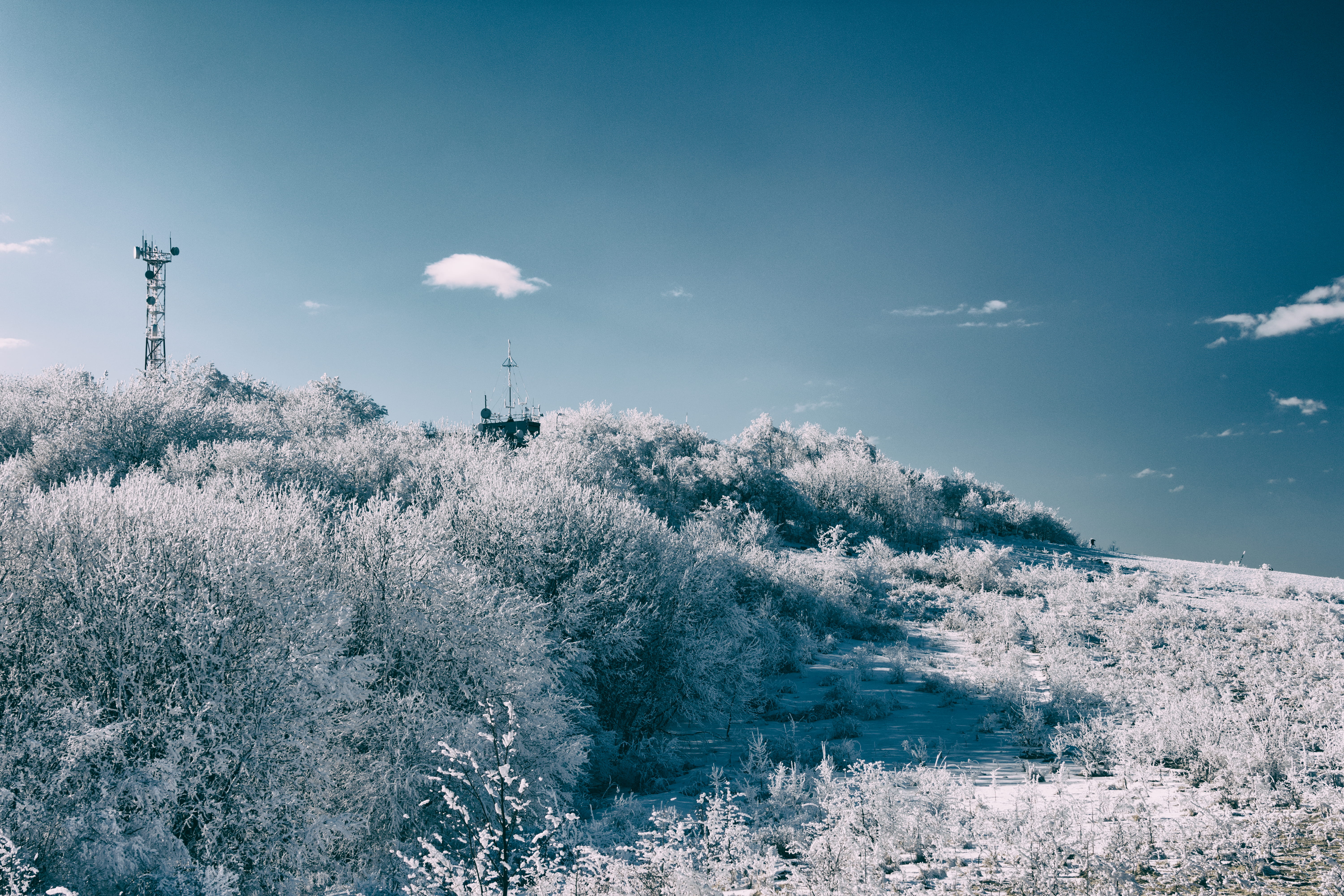 sky, russia, trees, tranquil scene, field, growth, tower, non-urban scene, cloud - sky, winter, architecture, tranquility, landscape, forest, beauty in nature, HD Wallpaper