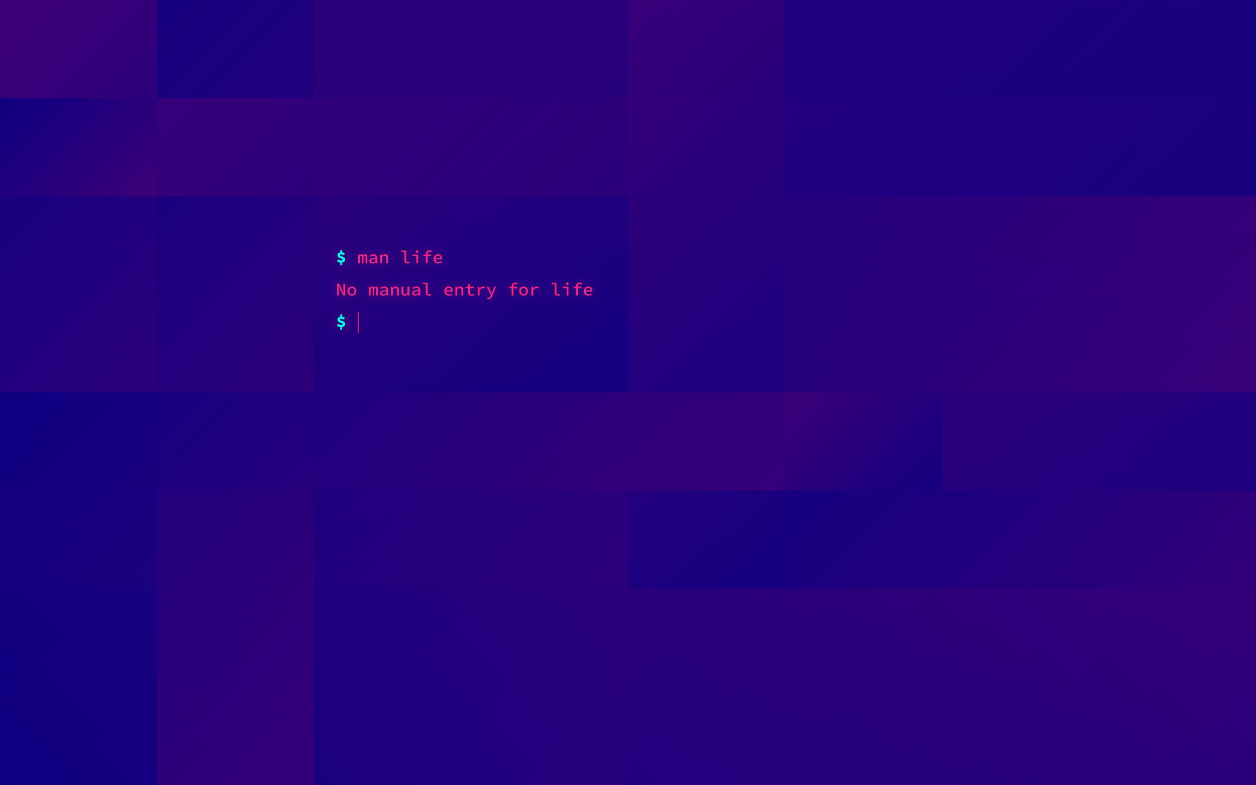 1080P, rectangle, Unix, humor, violet, Shell, computer, minimalism, bash, abstract, terminals, HD Wallpaper