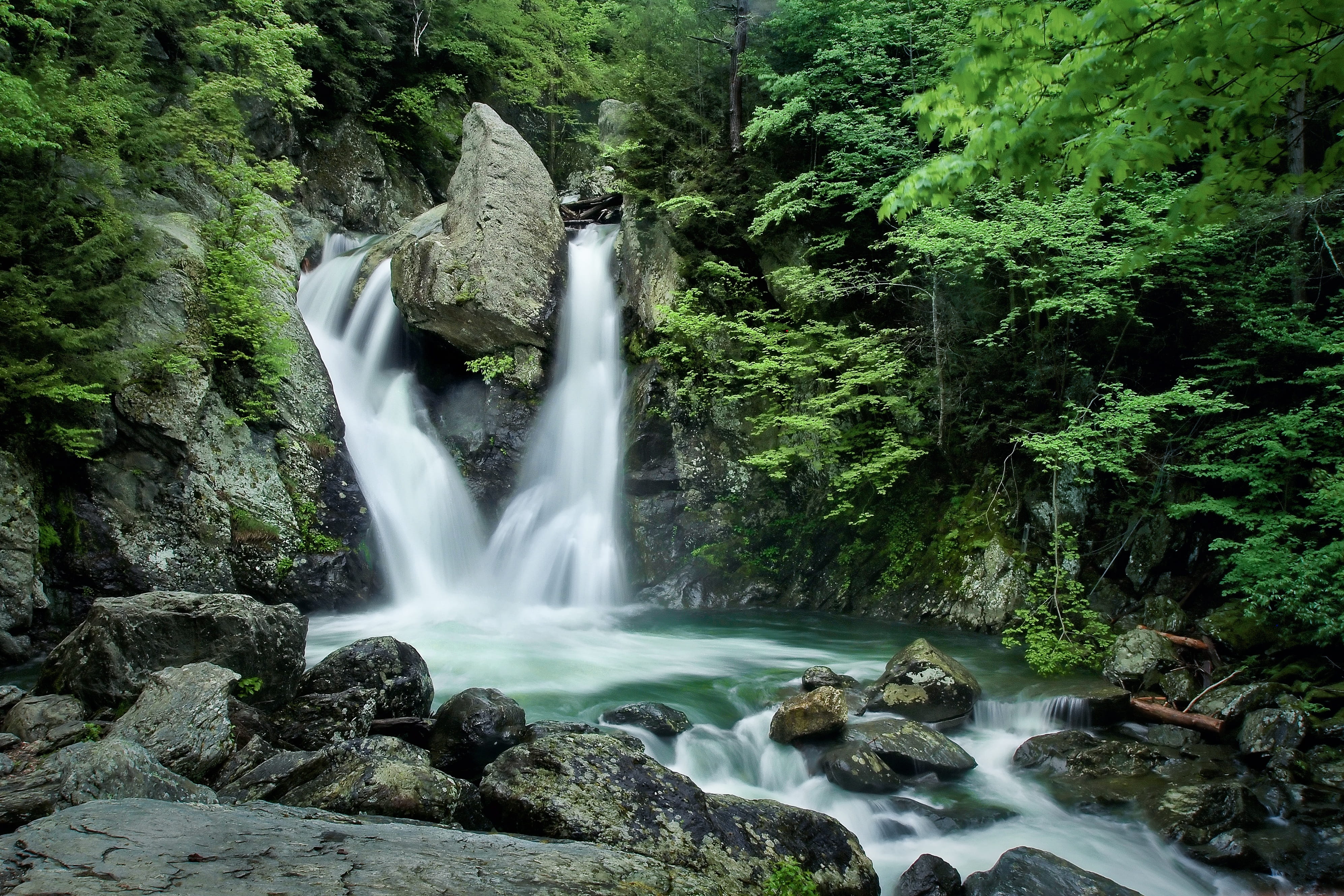 bish bash falls, flowing water, scenics - nature, river, tree, non-urban scene, rock - object, woods, flowing, 4K, beauty in nature, land, rock, growth, HD Wallpaper