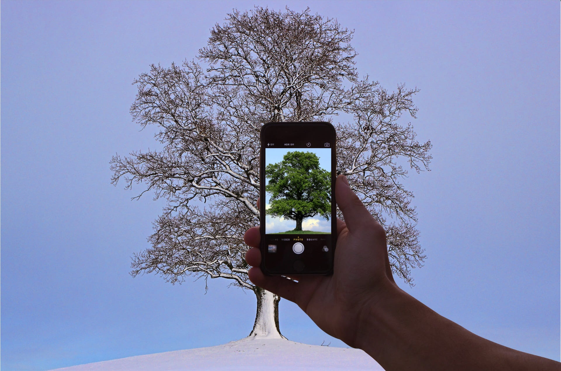 portable information device, tree, technology, Hand, photo manipulation, human body part, photo, mobile, outdoors, touch screen, sky, finger, wireless technology, HD Wallpaper