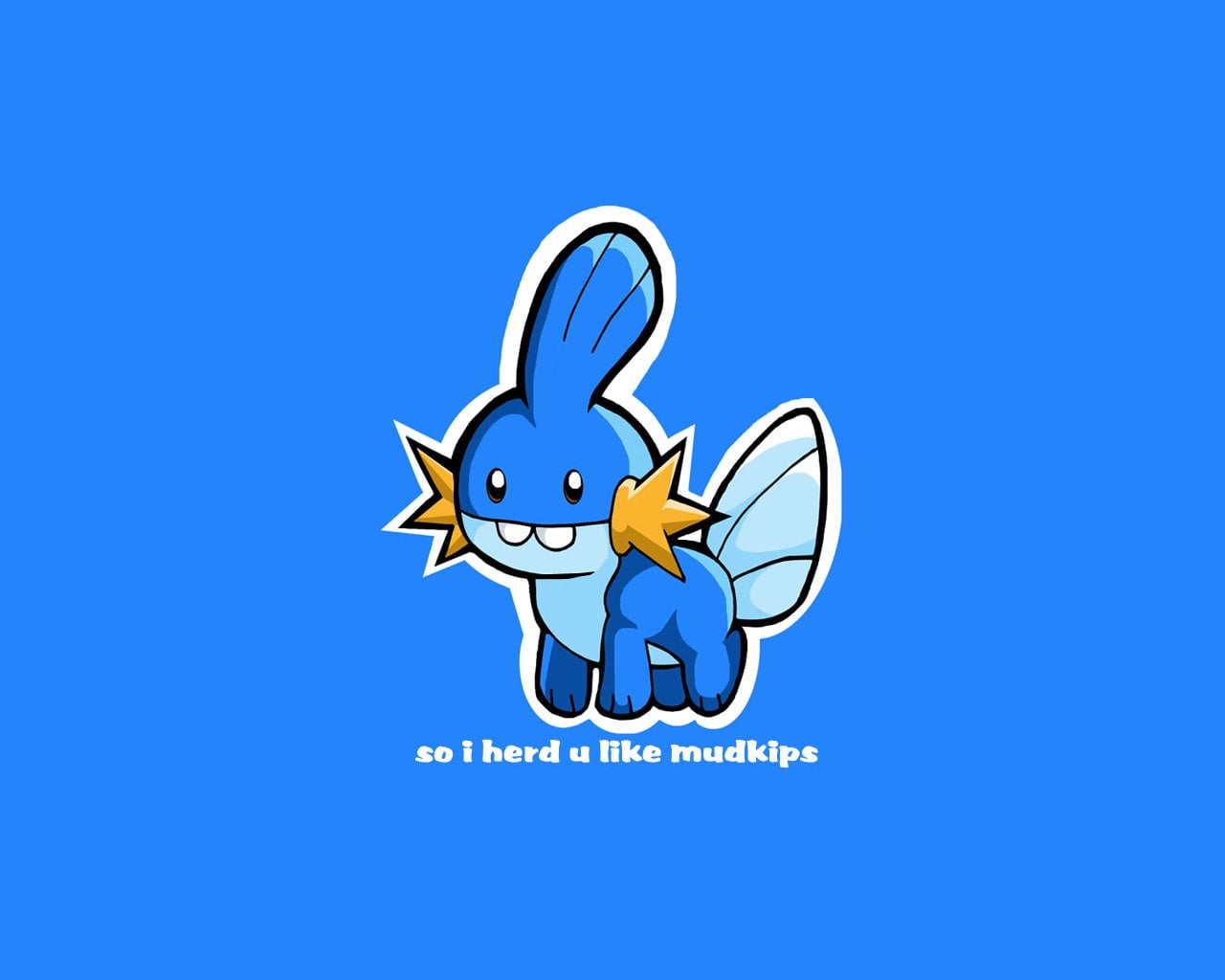 nature, communication, turquoise colored, Pokémon, colored background, single object, 720P, representation, Mudkip (Pokémon), blue, blue background, inflatable, HD Wallpaper