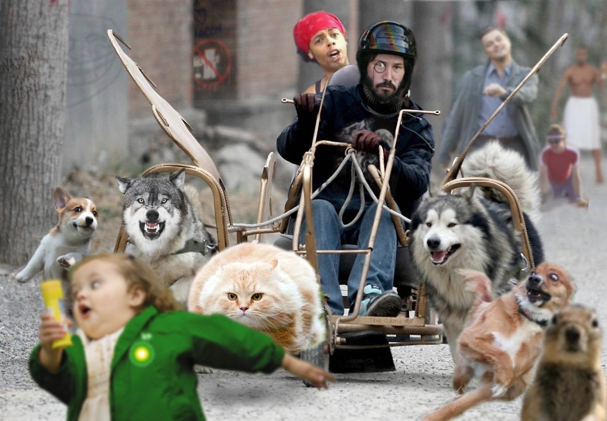 chan, meme, canine, funny, reeves, 480P, men, women, dogs, art, x, animals, cats, hd, 4chan, keanu, HD Wallpaper