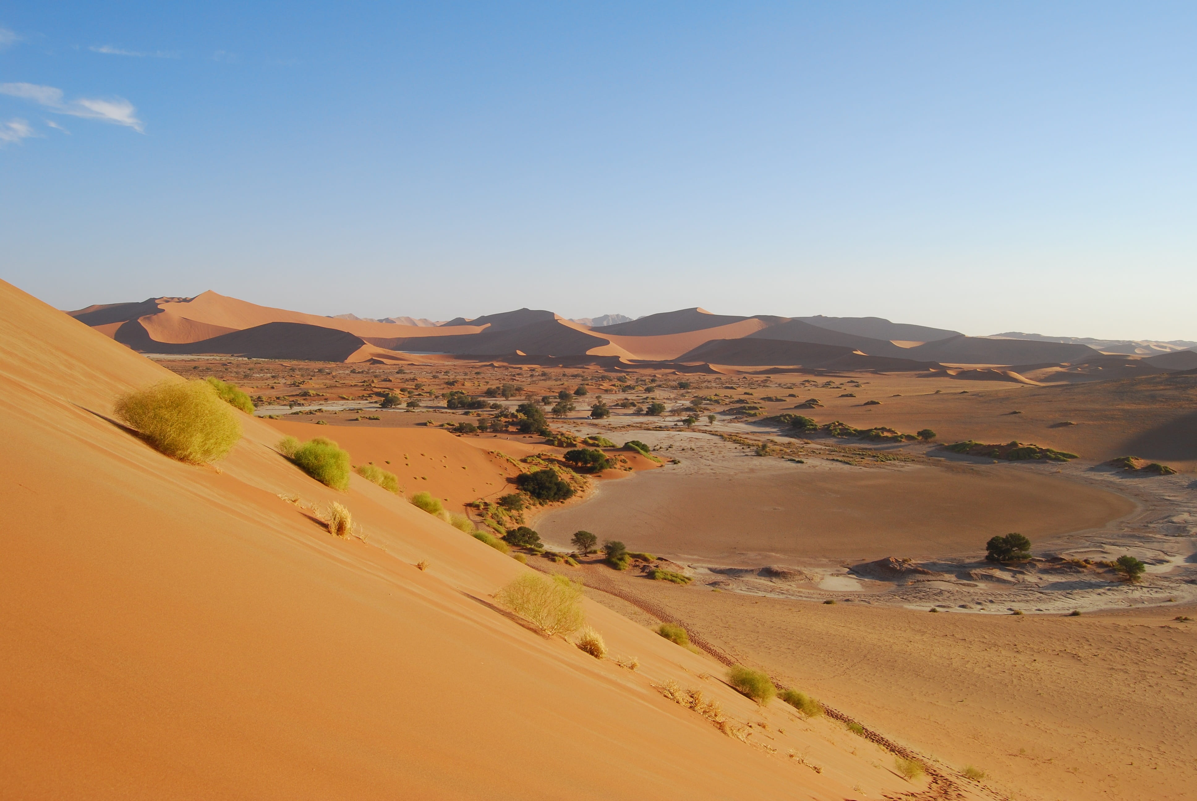 sky, beauty in nature, desert, land, sossusvlei, surface, no people, scenics, clear sky, sand, day, sand dune, brown, namibia, dunes, landscape, nature, HD Wallpaper