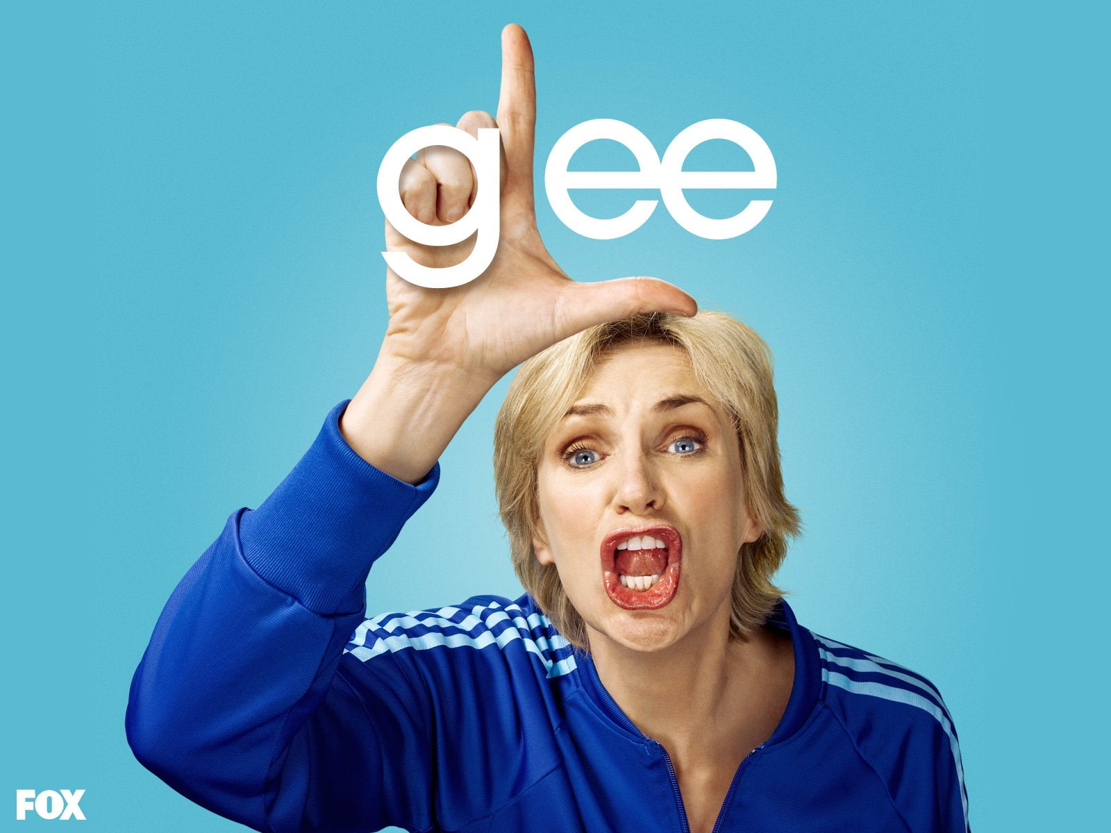 TV Show, Jane Lynch, Sue Sylvester, Glee, 720P, HD Wallpaper