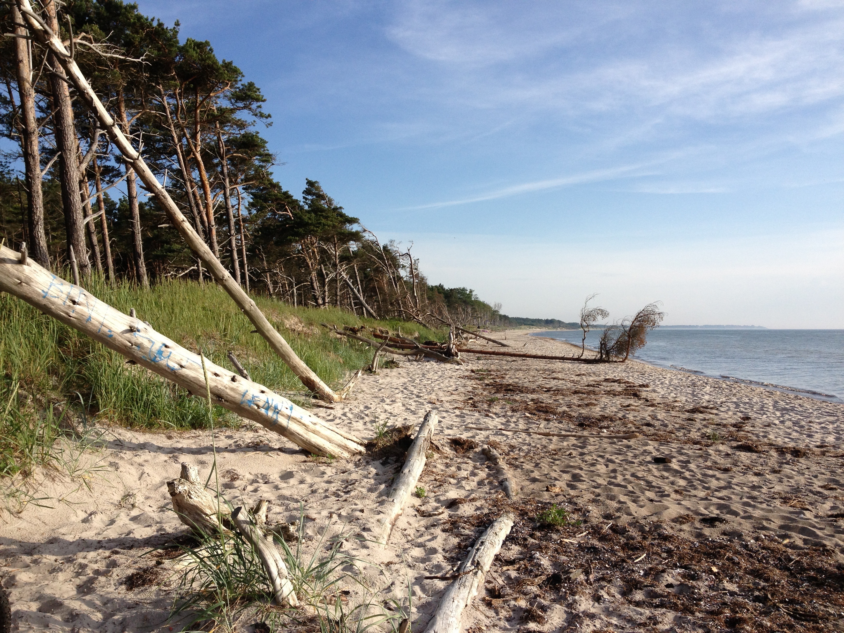 nature, recovery, coastline, sea, sunlight, baltic sea, holiday, land, scenics - nature, tranquility, beach, horizon over water, no people, non-urban scene, HD Wallpaper