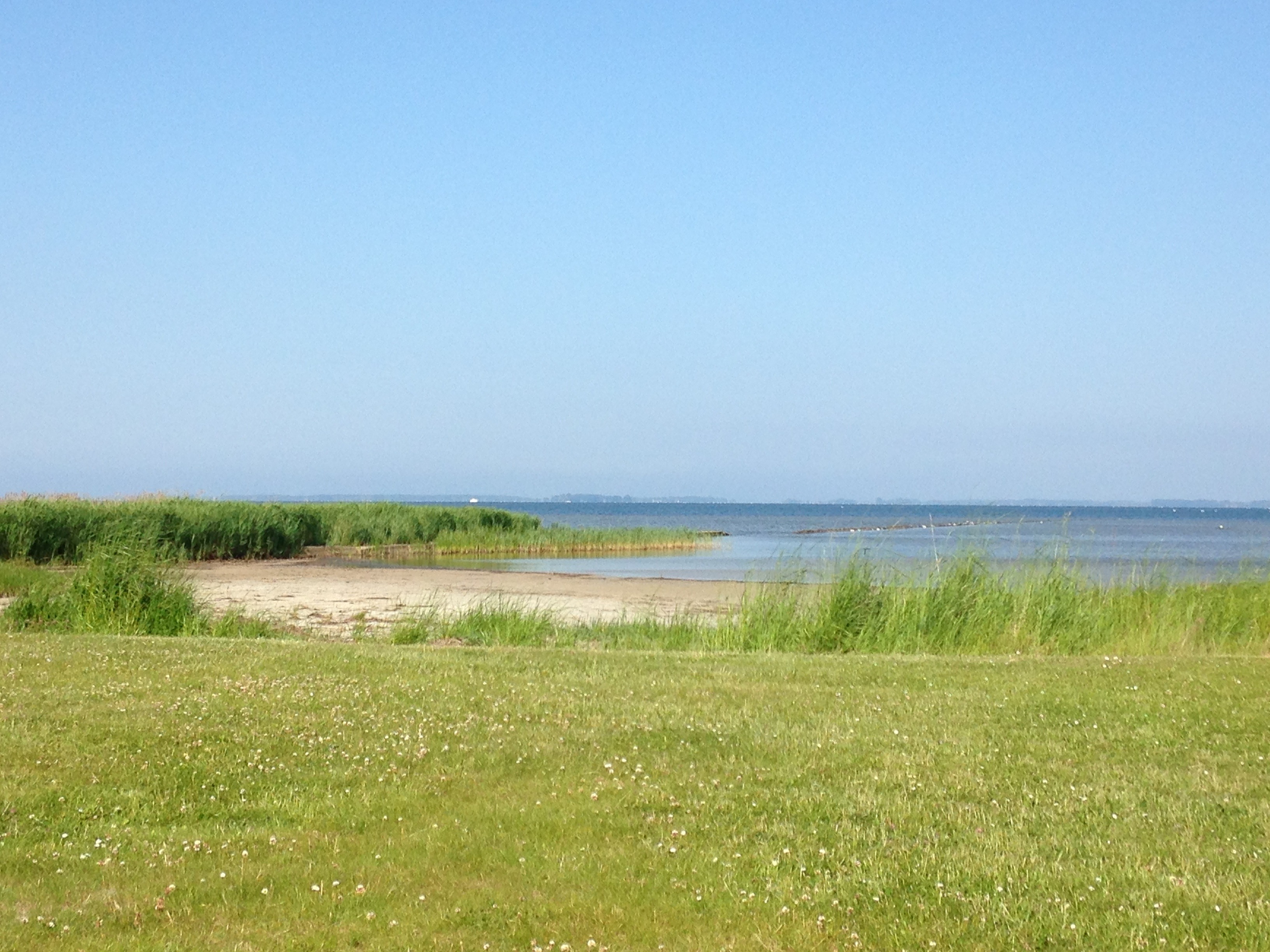sea, grass, sky, day, scenics - nature, kleiner ostseestrand, tranquil scene, outdoors, field, environment, tranquility, baltic sea, nature, copy space, HD Wallpaper
